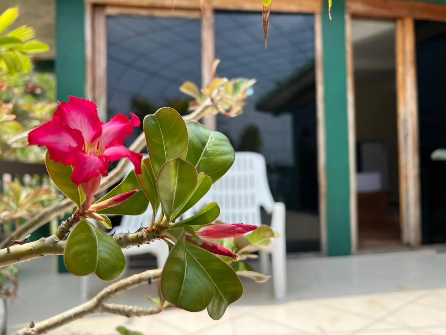 Hin Wong Apartments Dive & Snorkel Resort