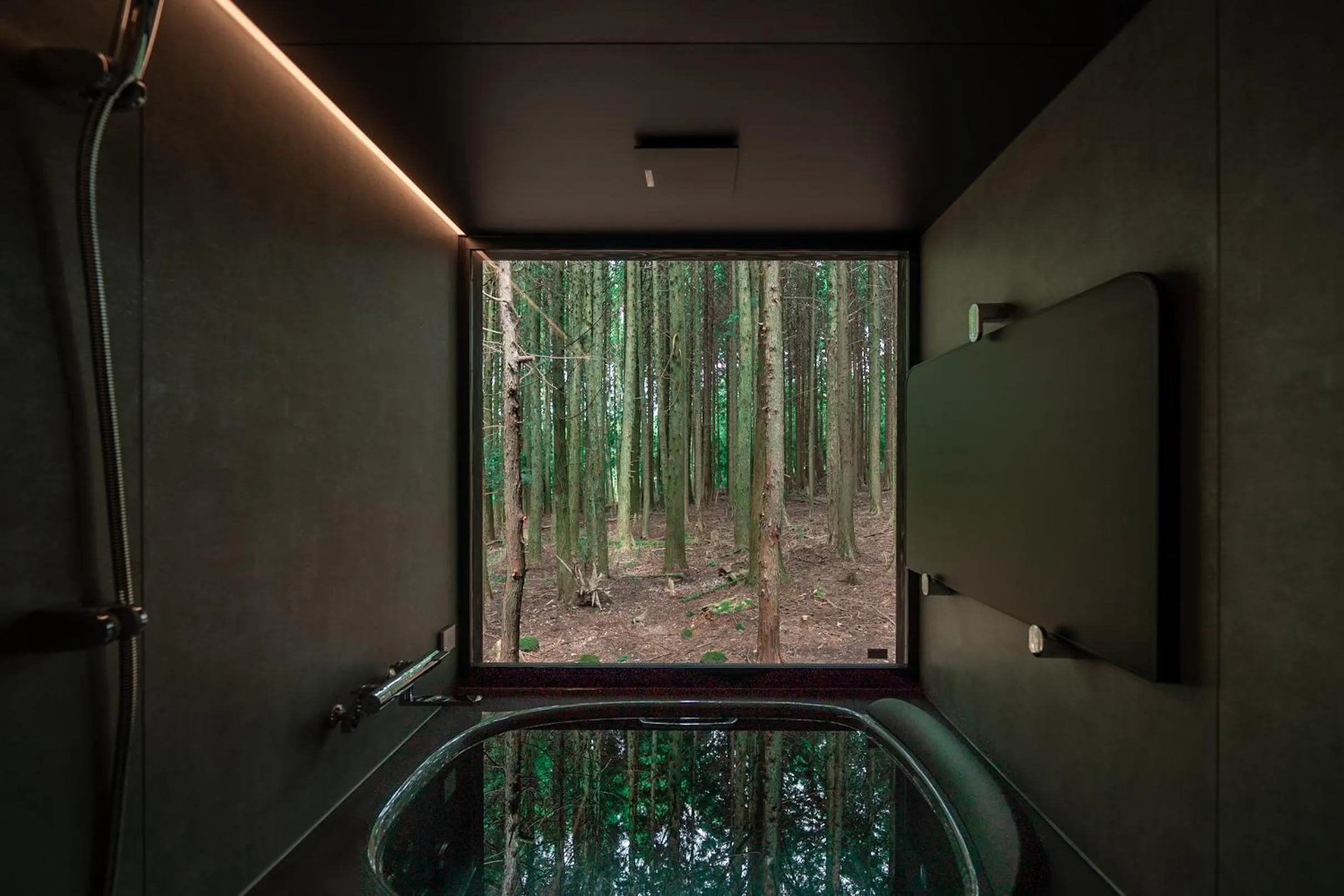 Natural landscape in Forest Inn Born