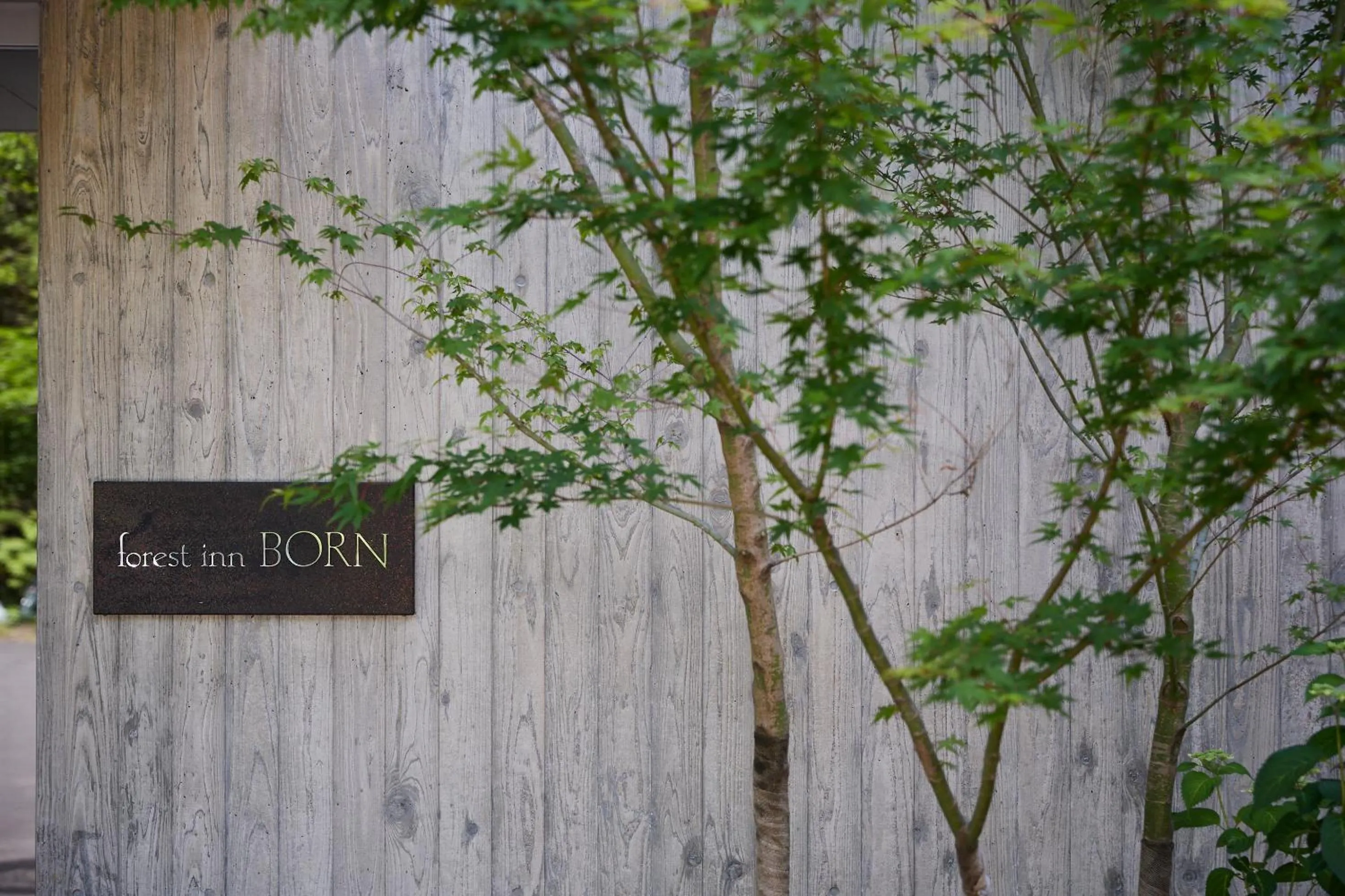 Forest Inn Born