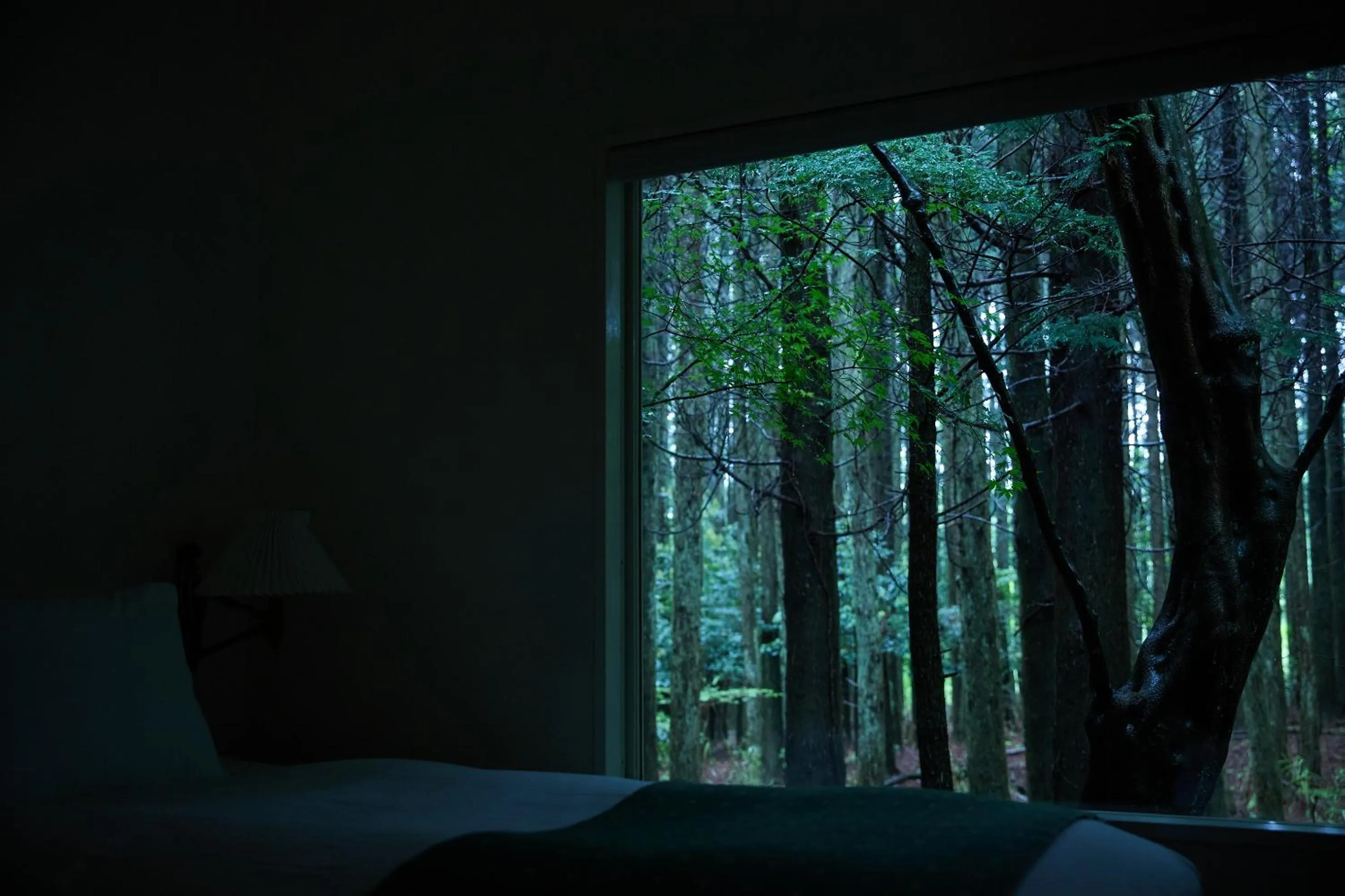 Natural landscape in Forest Inn Born