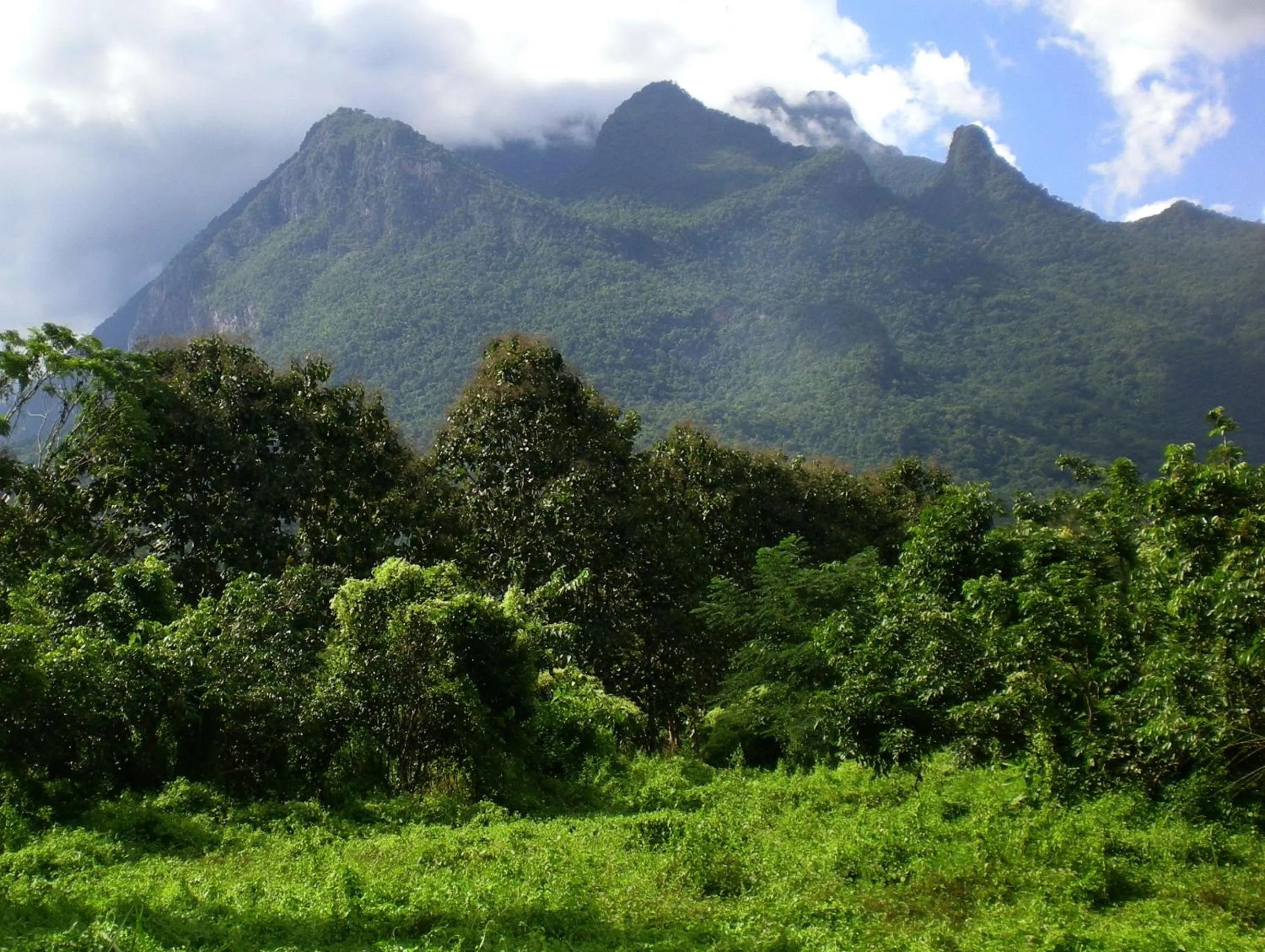 Off site in Chiang Dao Roundhouses
