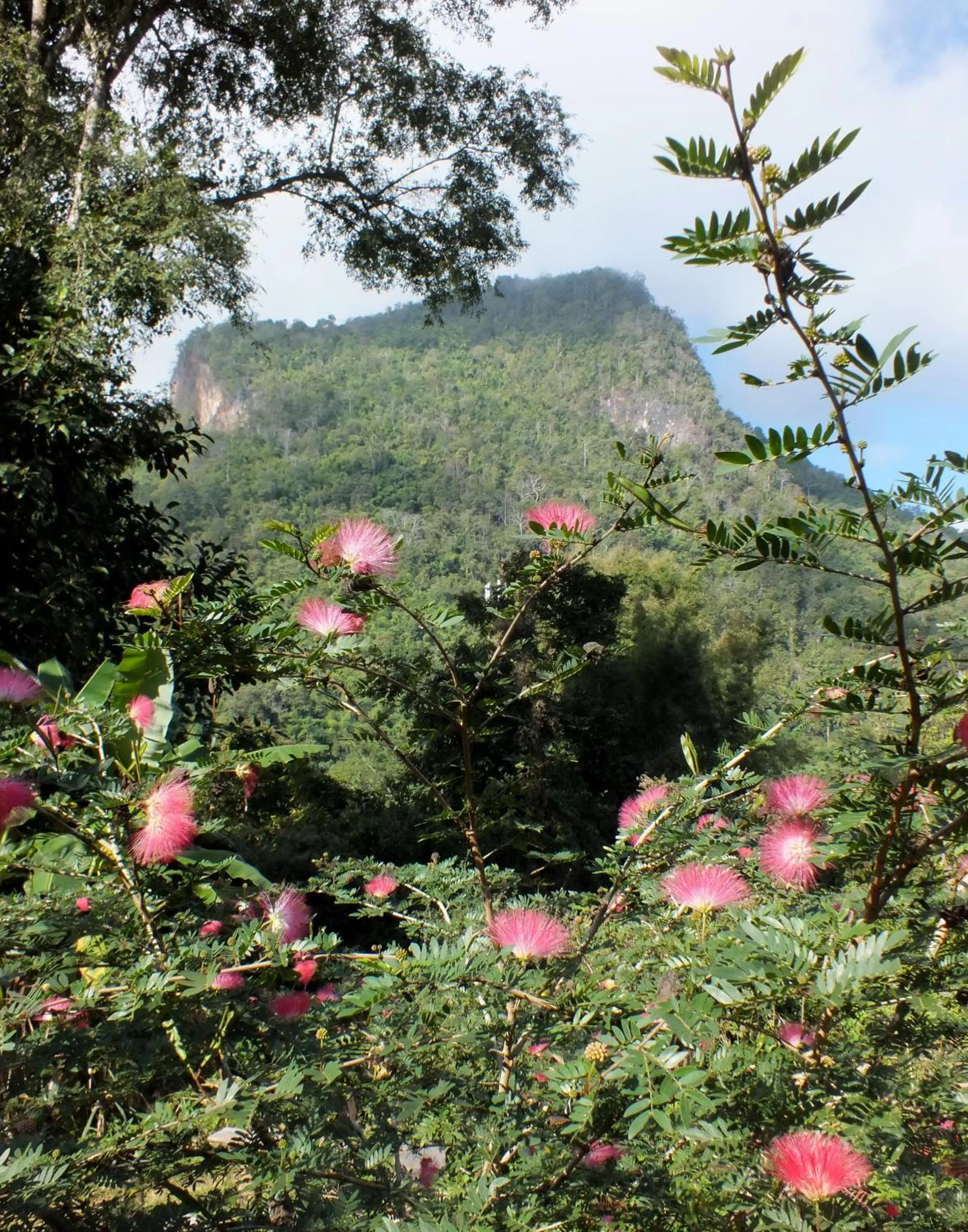 Natural landscape in Chiang Dao Roundhouses