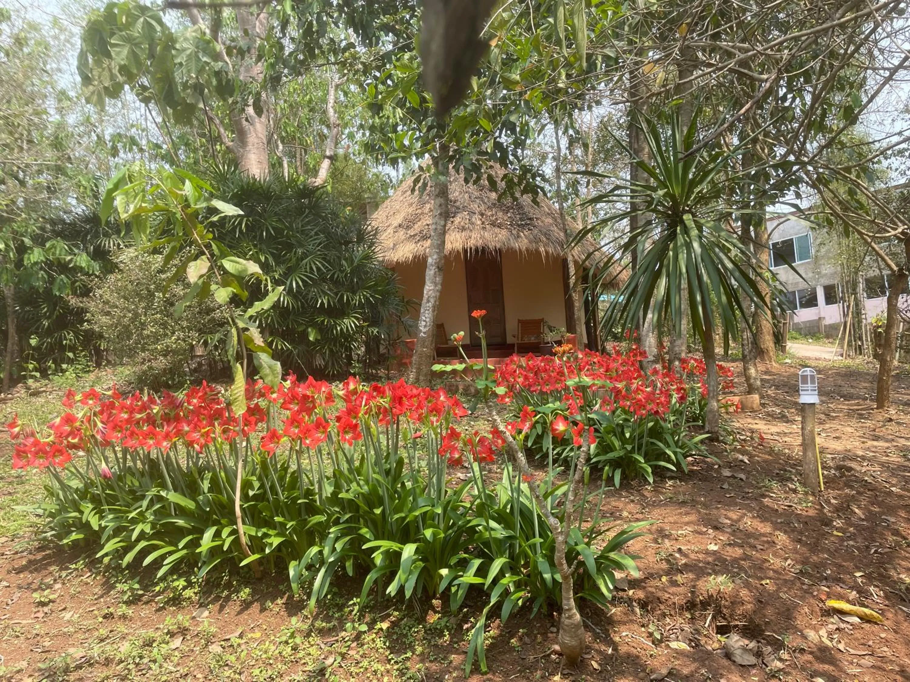 Natural landscape in Chiang Dao Roundhouses