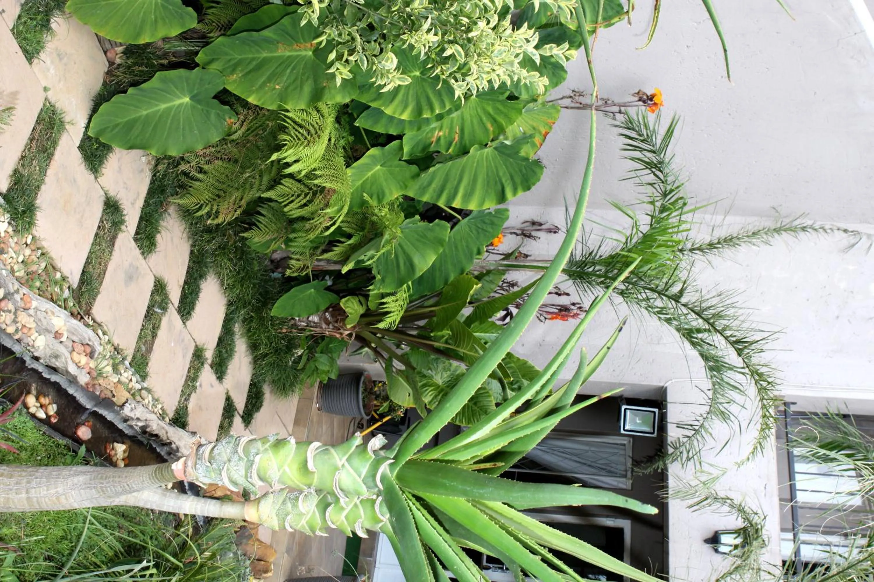 Day in Airport Lodge Guest House