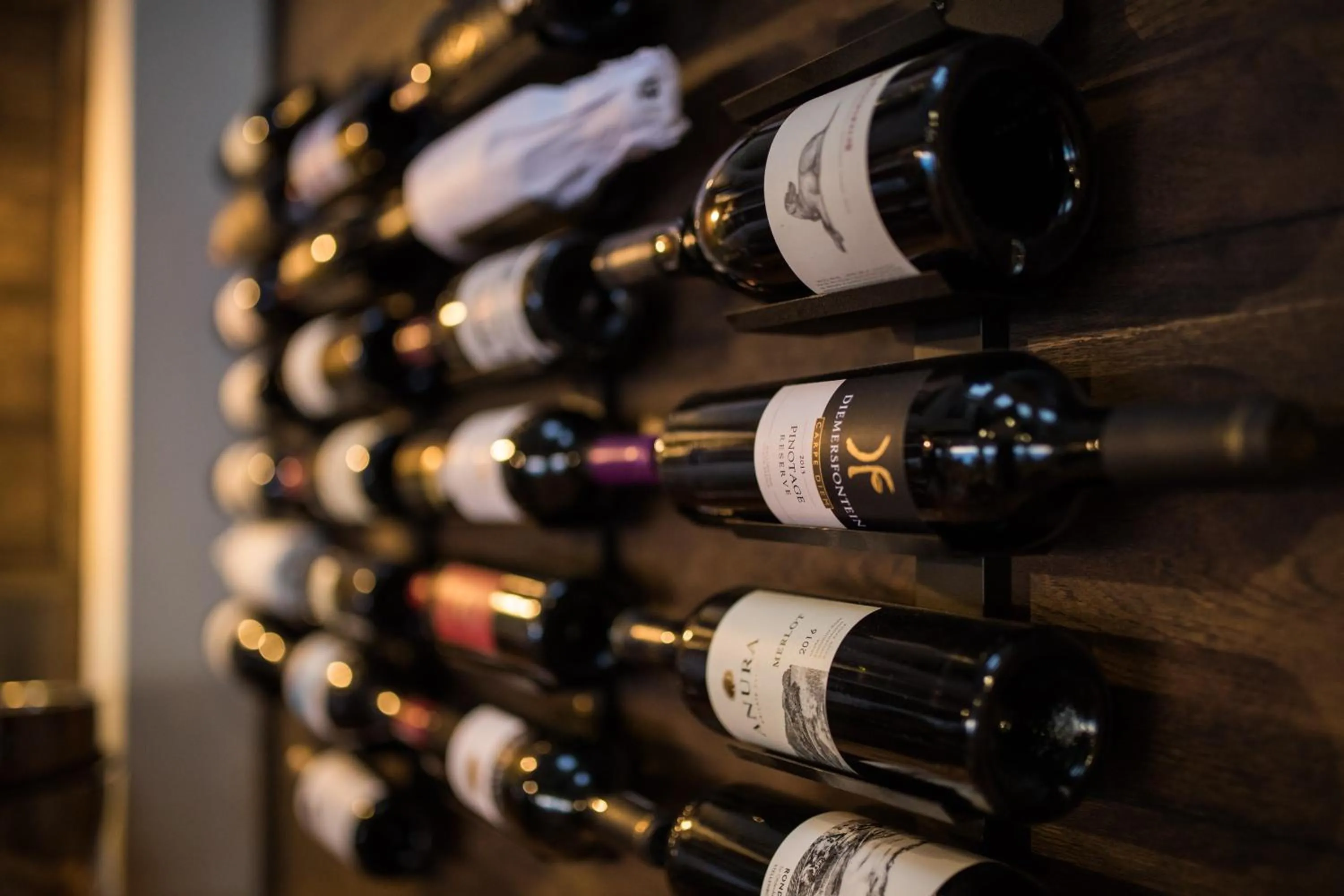 Lounge or bar in Head over Hills