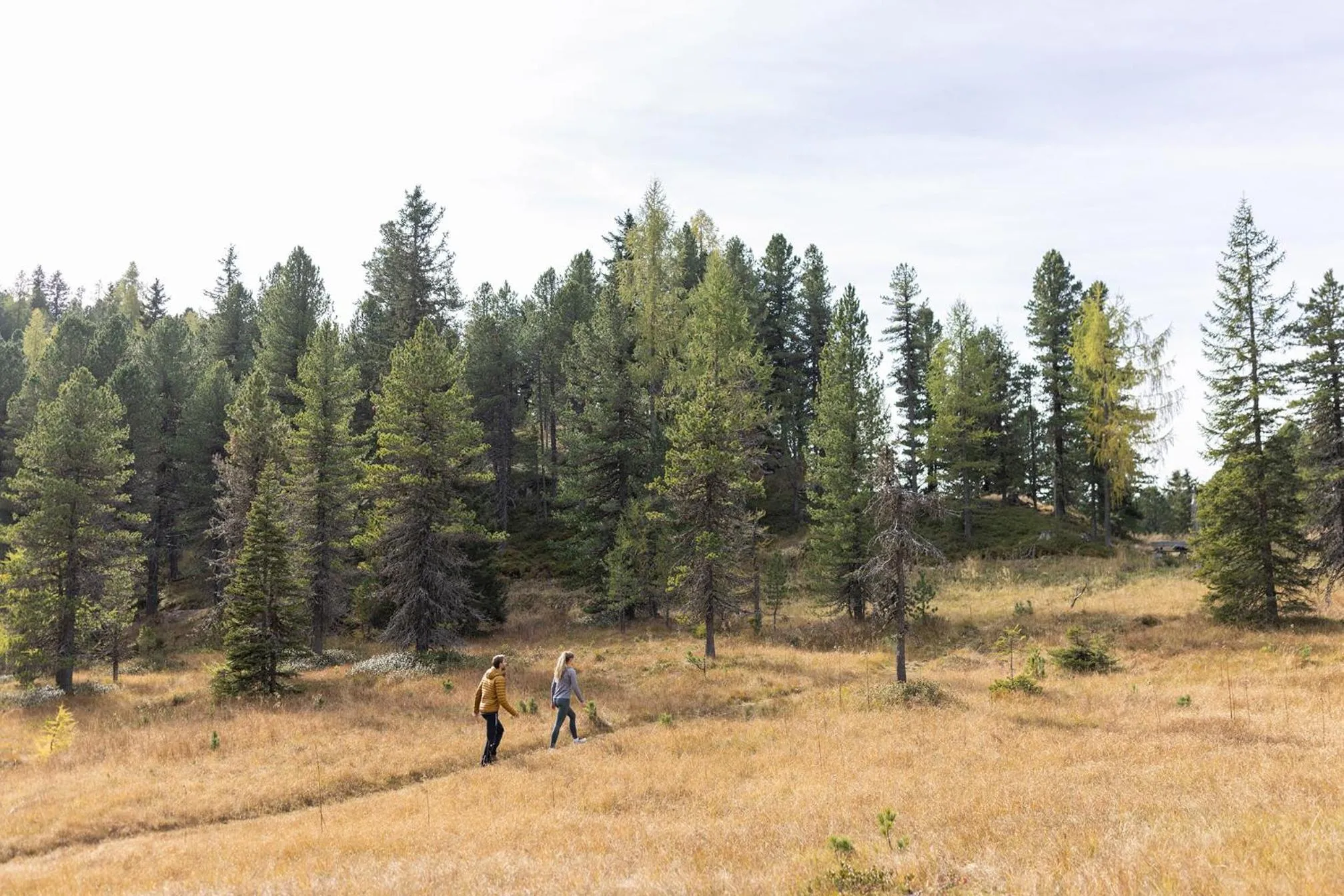 Summer in Hotel Hochschober