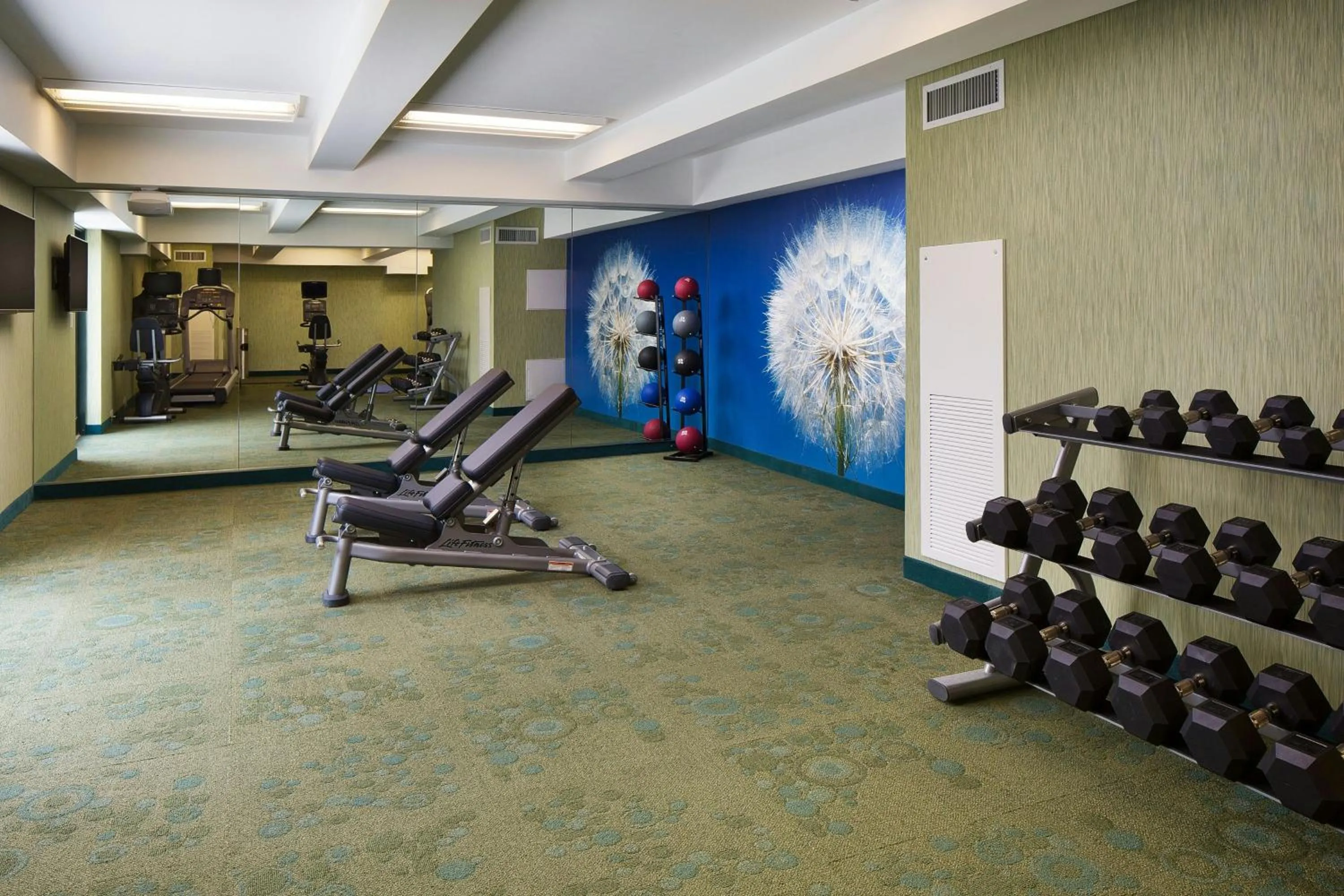 Fitness centre/facilities in SpringHill Suites by Marriott Houston Downtown/Convention Center