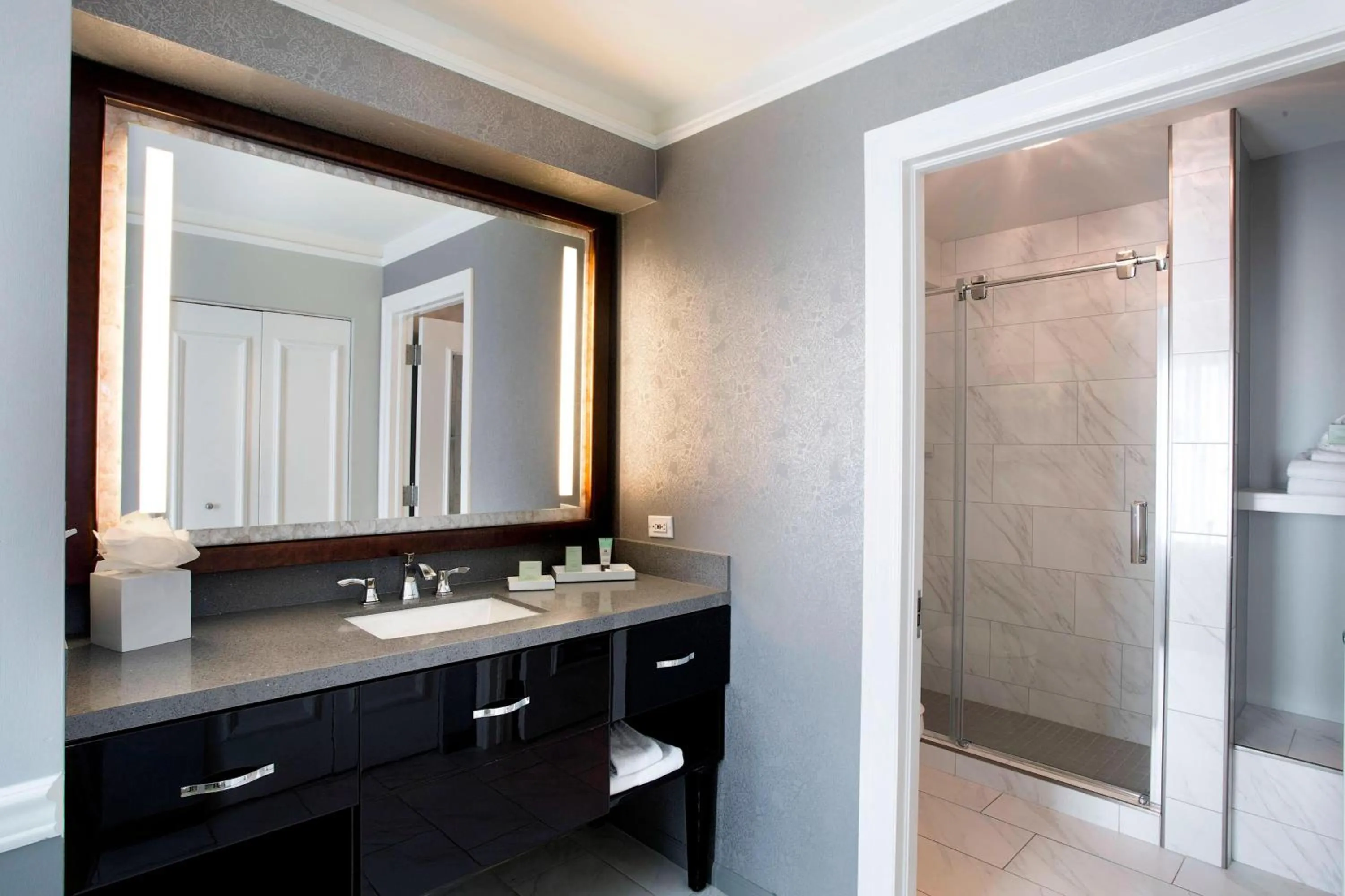 Bathroom in Ambassador Hotel Tulsa, Autograph Collection