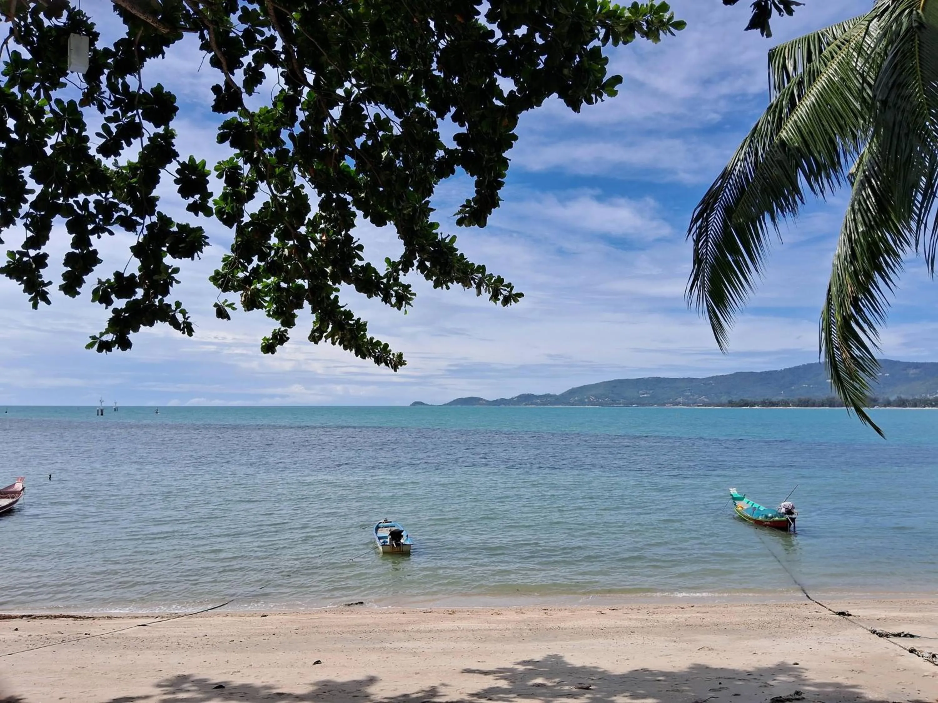 Natural landscape in At Samui Haus
