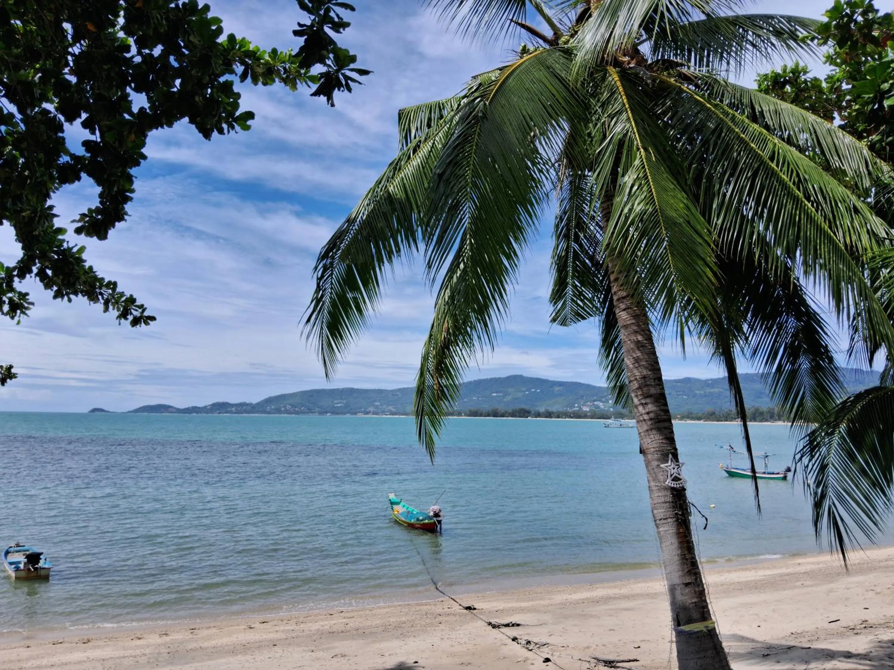 Natural landscape in At Samui Haus