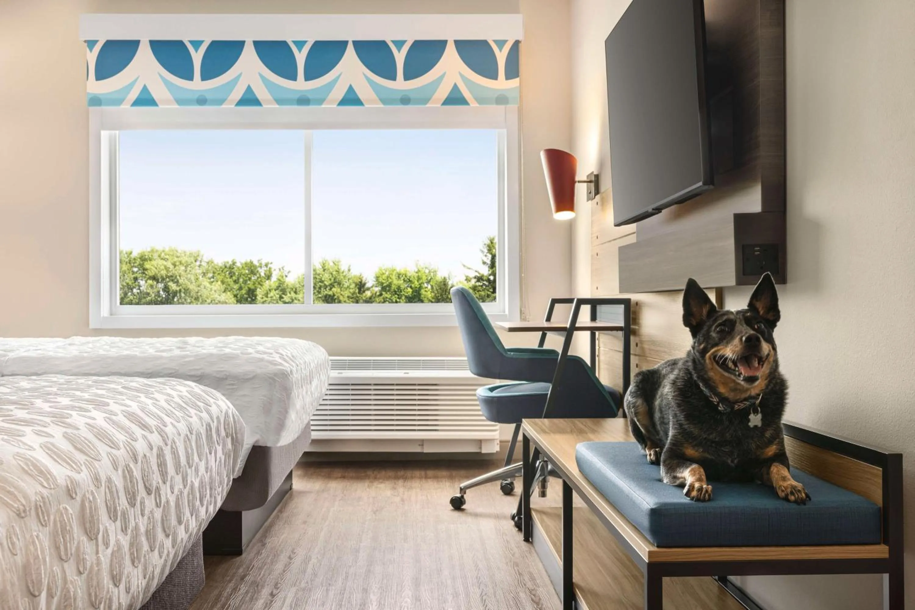 Bedroom, Bed in Tru By Hilton Martinsburg