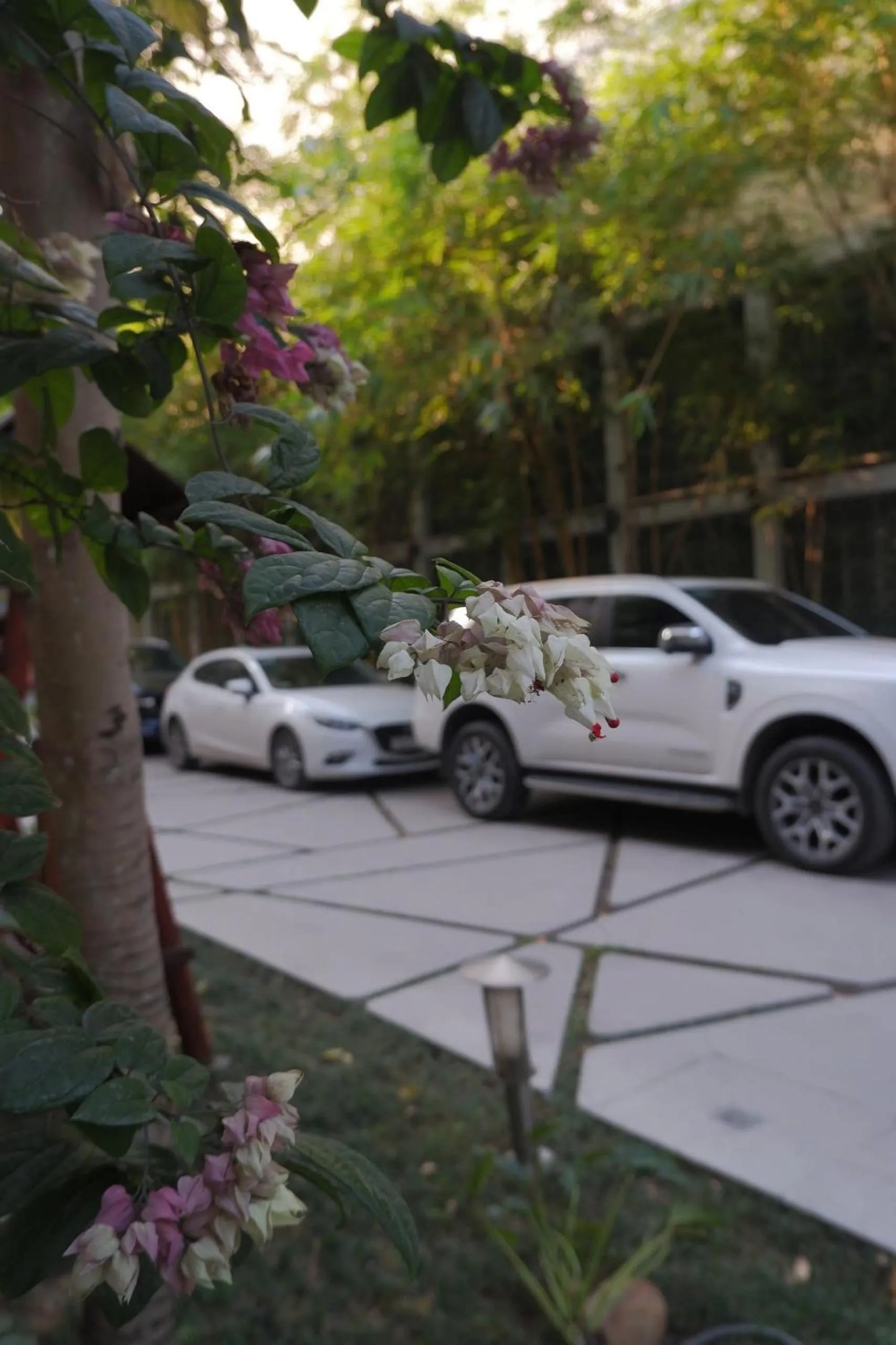 Garden in Tuong Vi Hotel