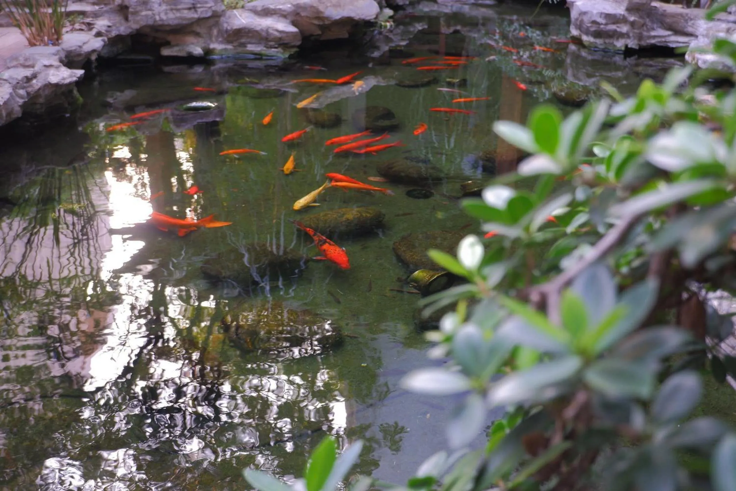 Day in Tuong Vi Hotel