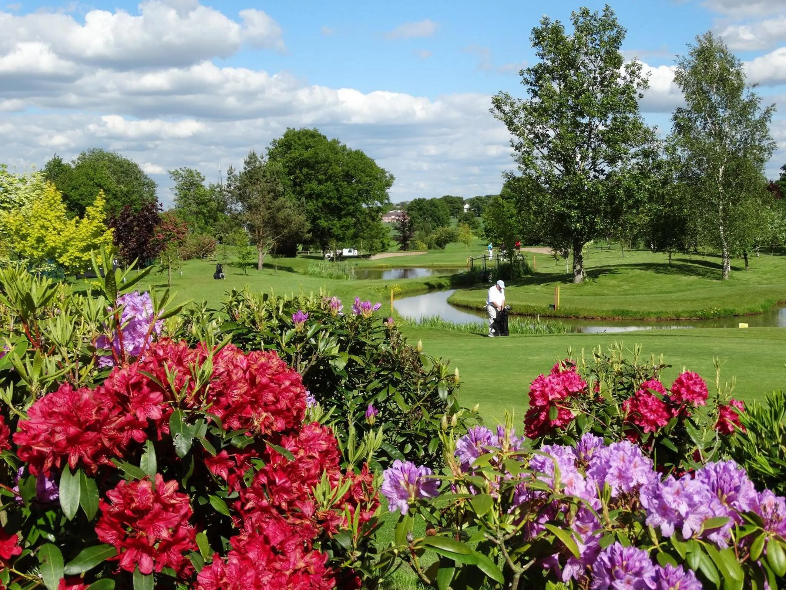 Golfcourse in Nailcote Hall