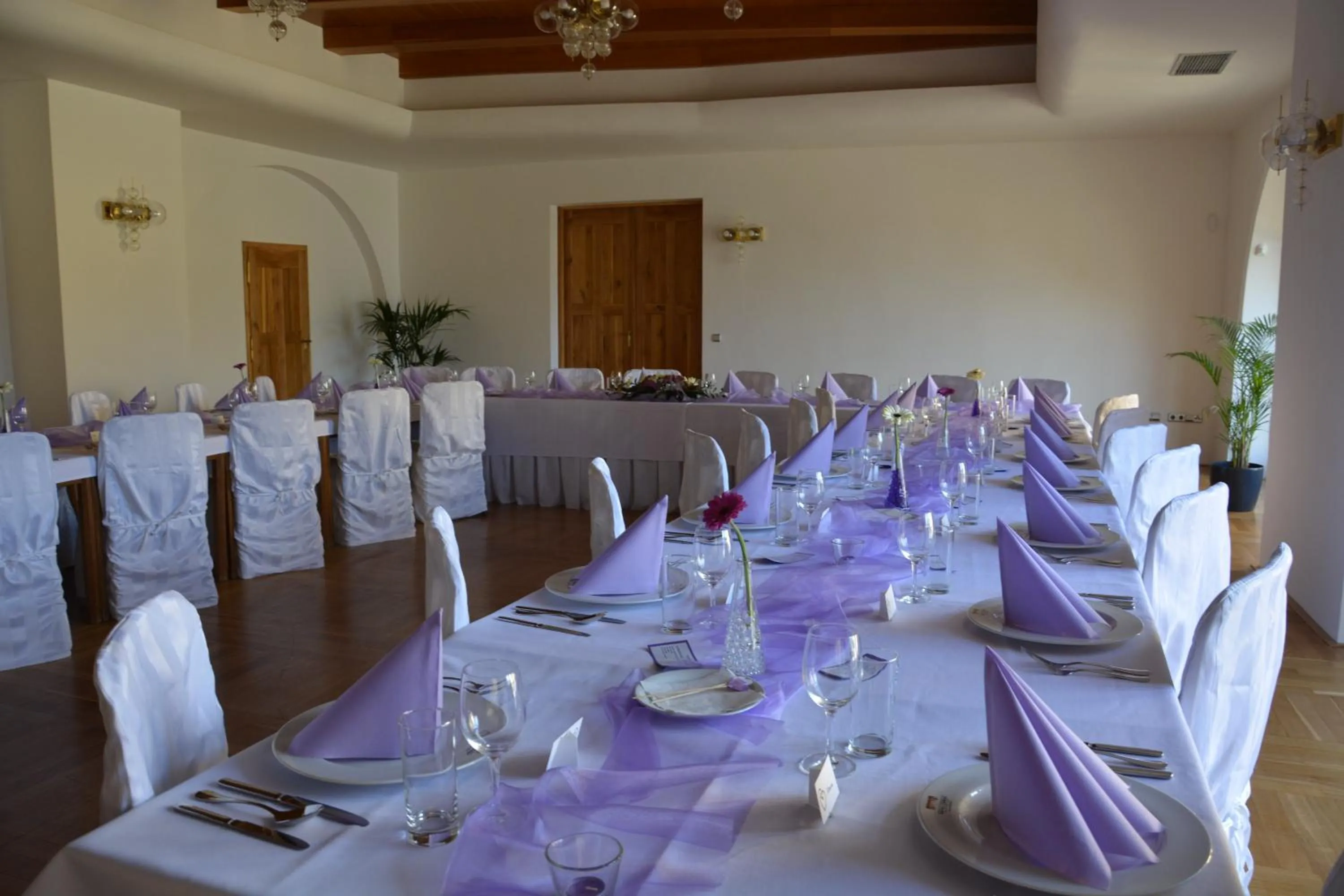 Banquet/Function facilities in Hotel Zámek Velká Bystřice