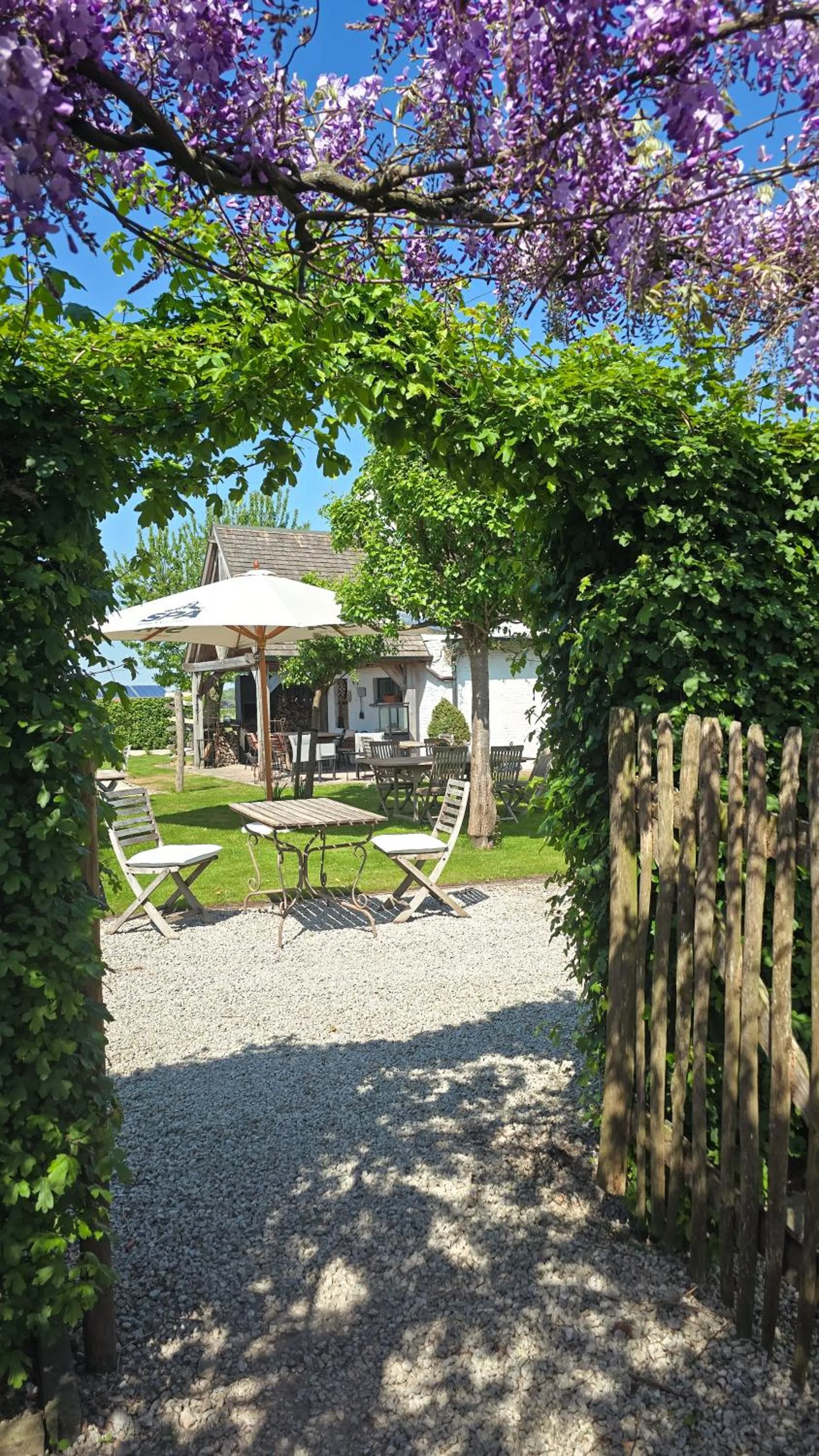 Garden in Boutique B&B Droomkerke