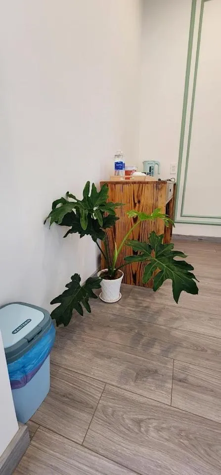 Other in LHASA HOTEL - Central hotel in Dalat