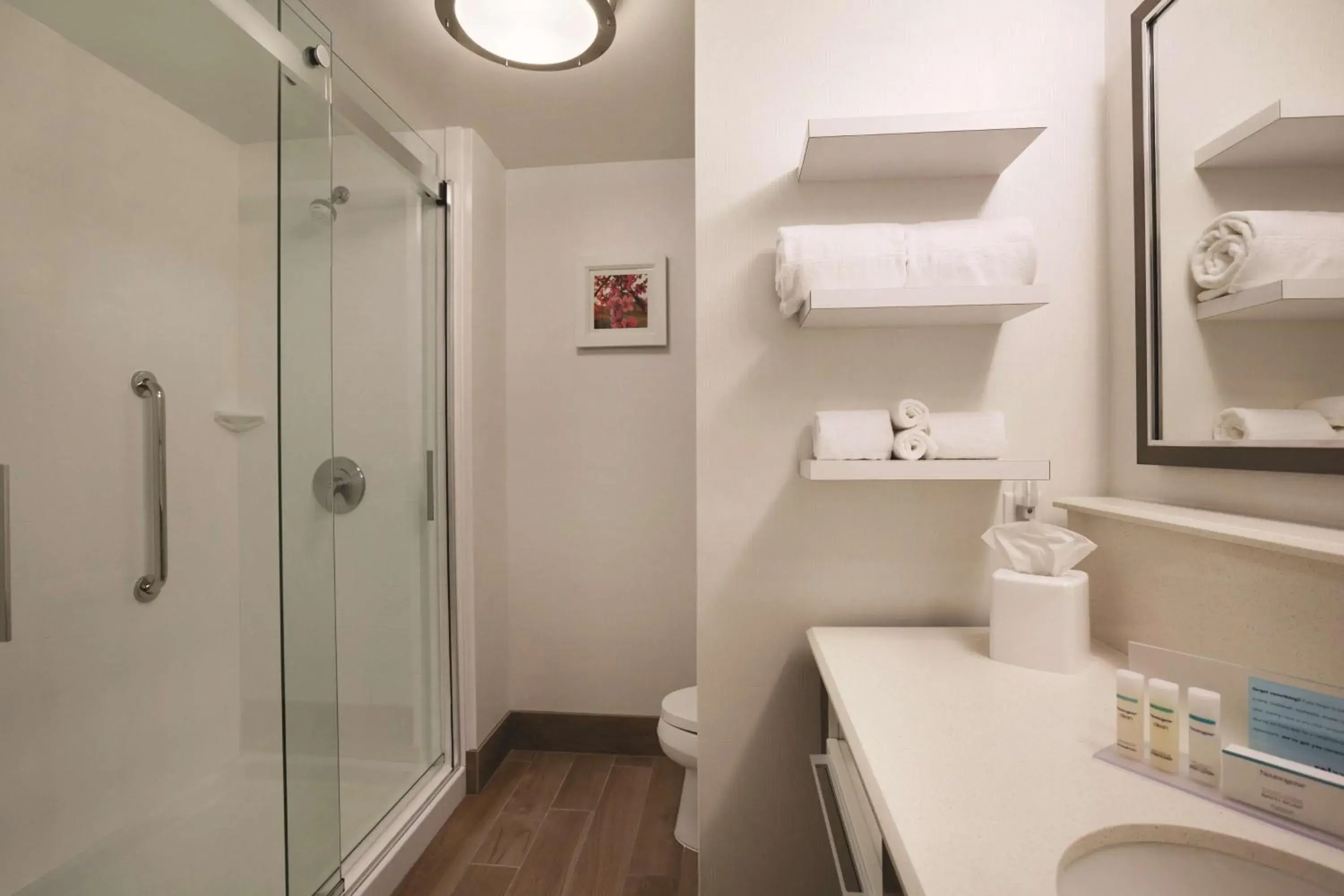 King Room - Non-Smoking in Hampton Inn Brigham City King Room - Non-Smoking in Hampton Inn Brigham City