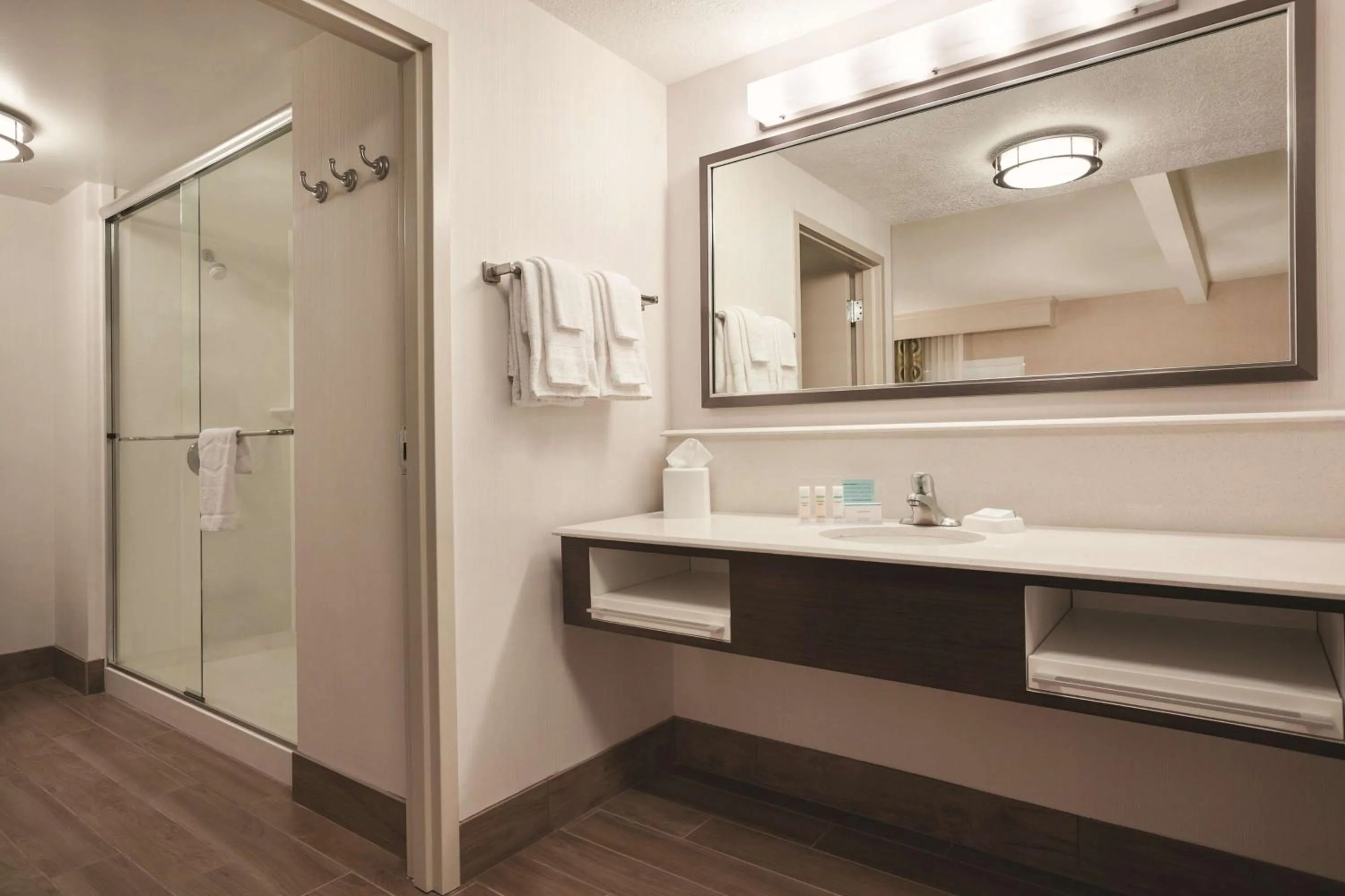 Bathroom in Hampton Inn Brigham City