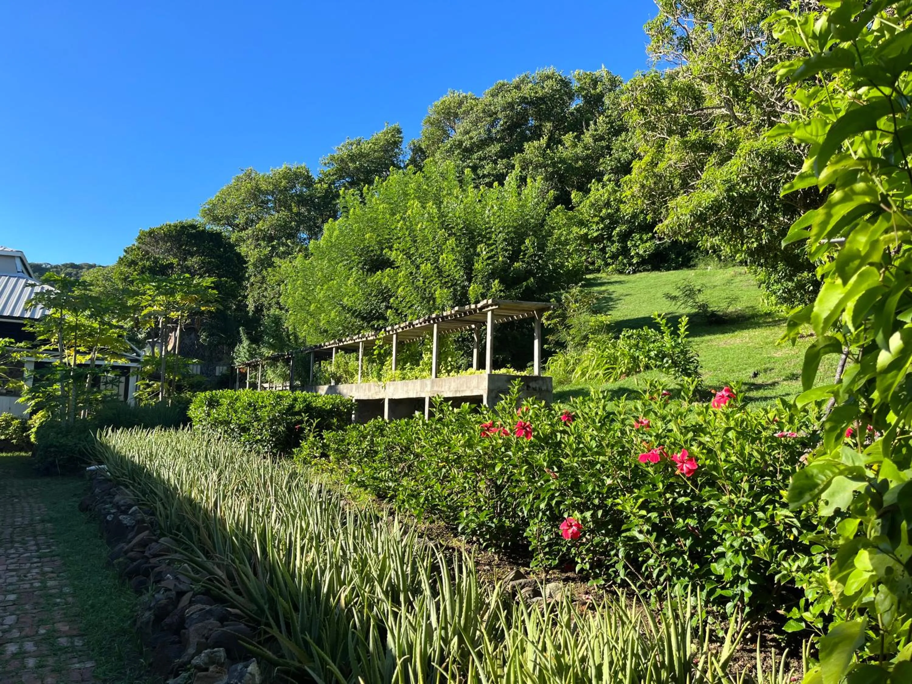 Garden view in Firefly Estate Bequia