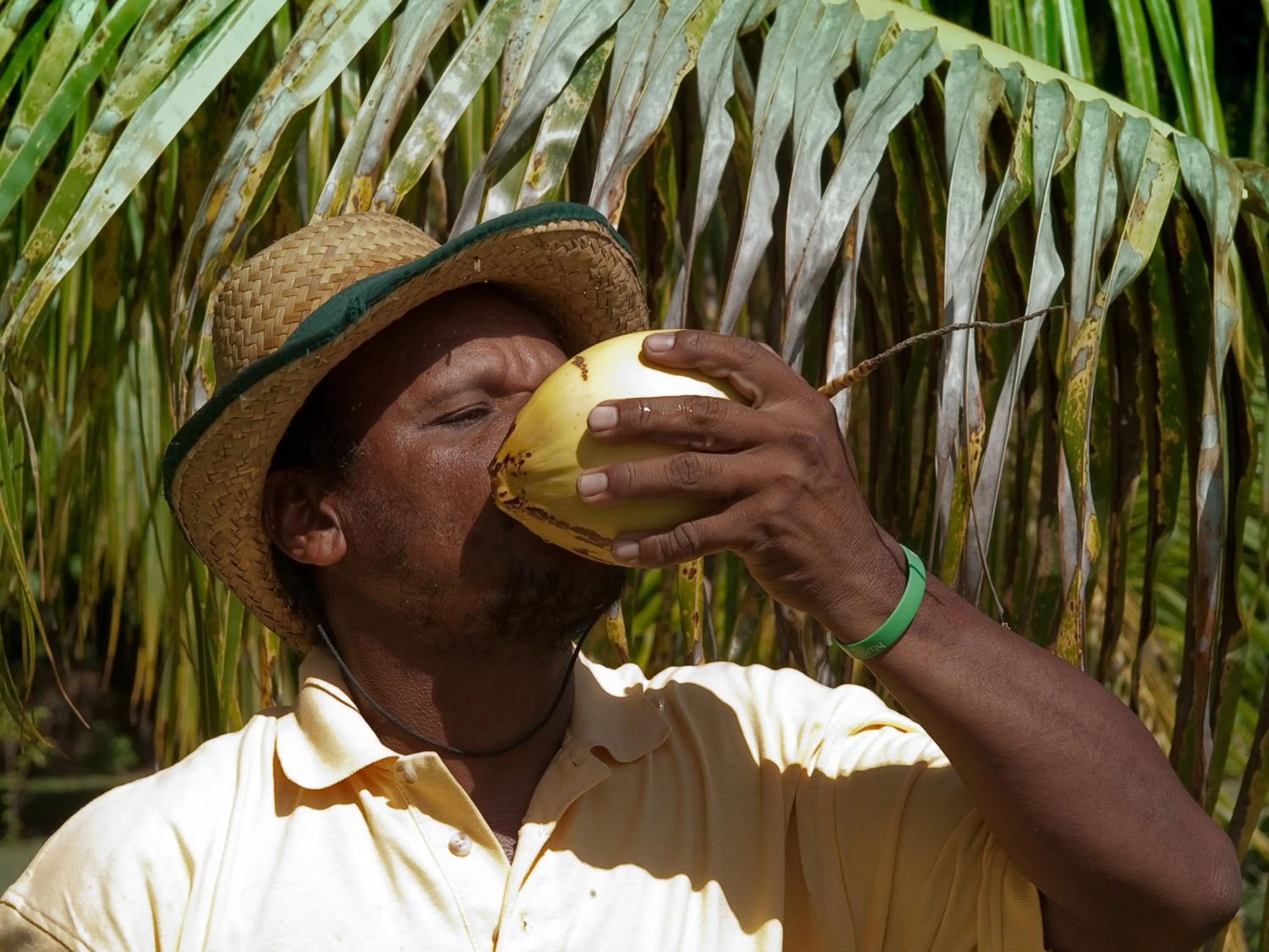People in Firefly Estate Bequia