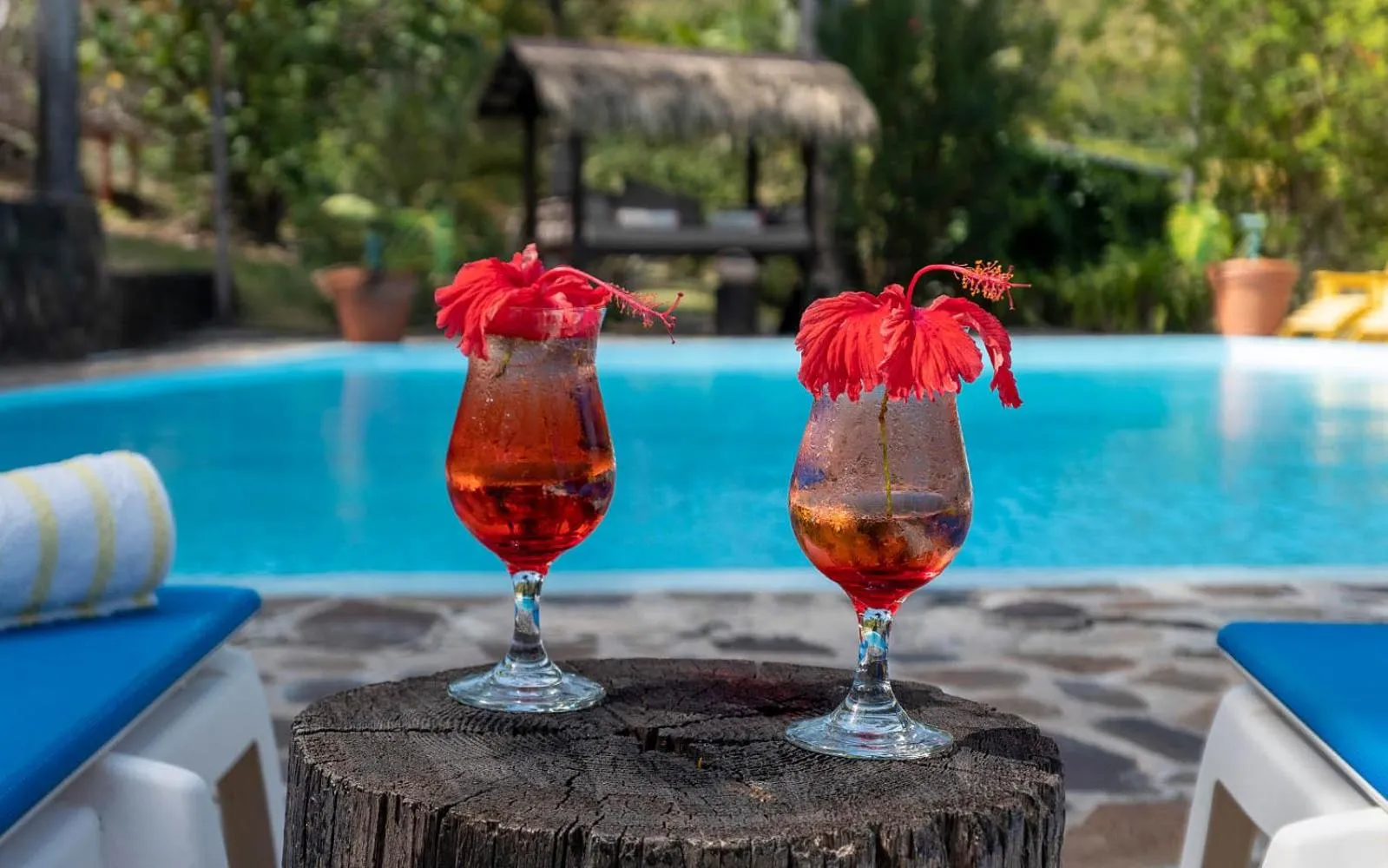 Swimming pool in Firefly Estate Bequia