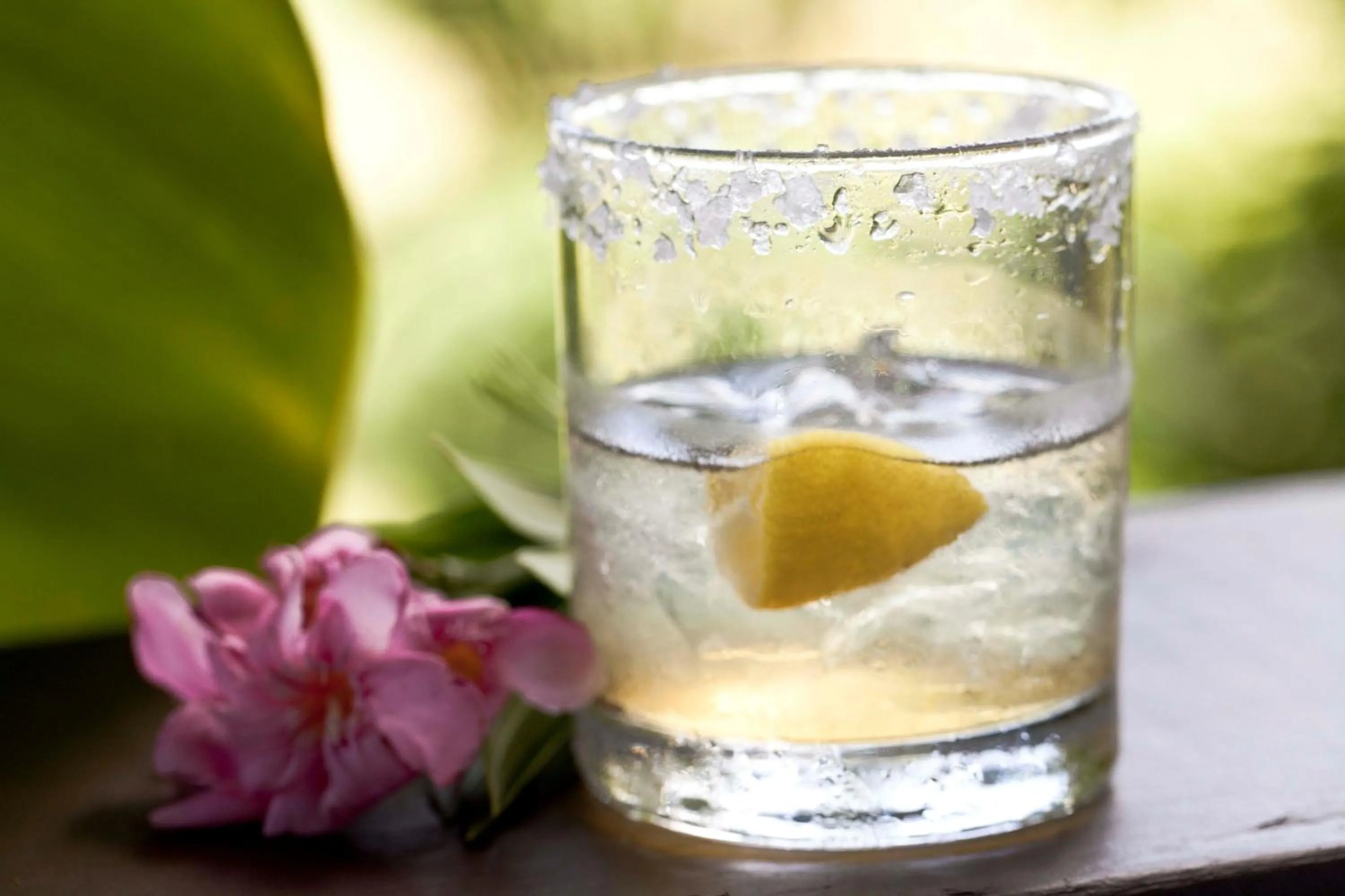 Alcoholic drinks in Firefly Estate Bequia