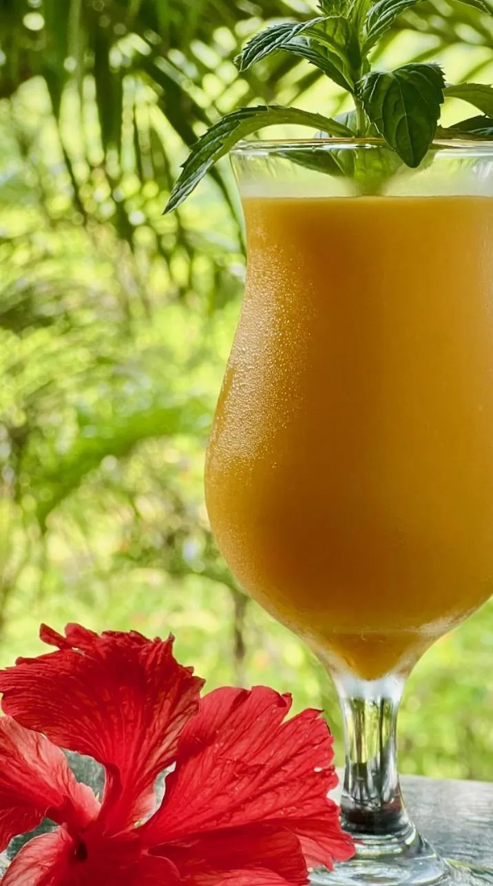 Drinks in Firefly Estate Bequia