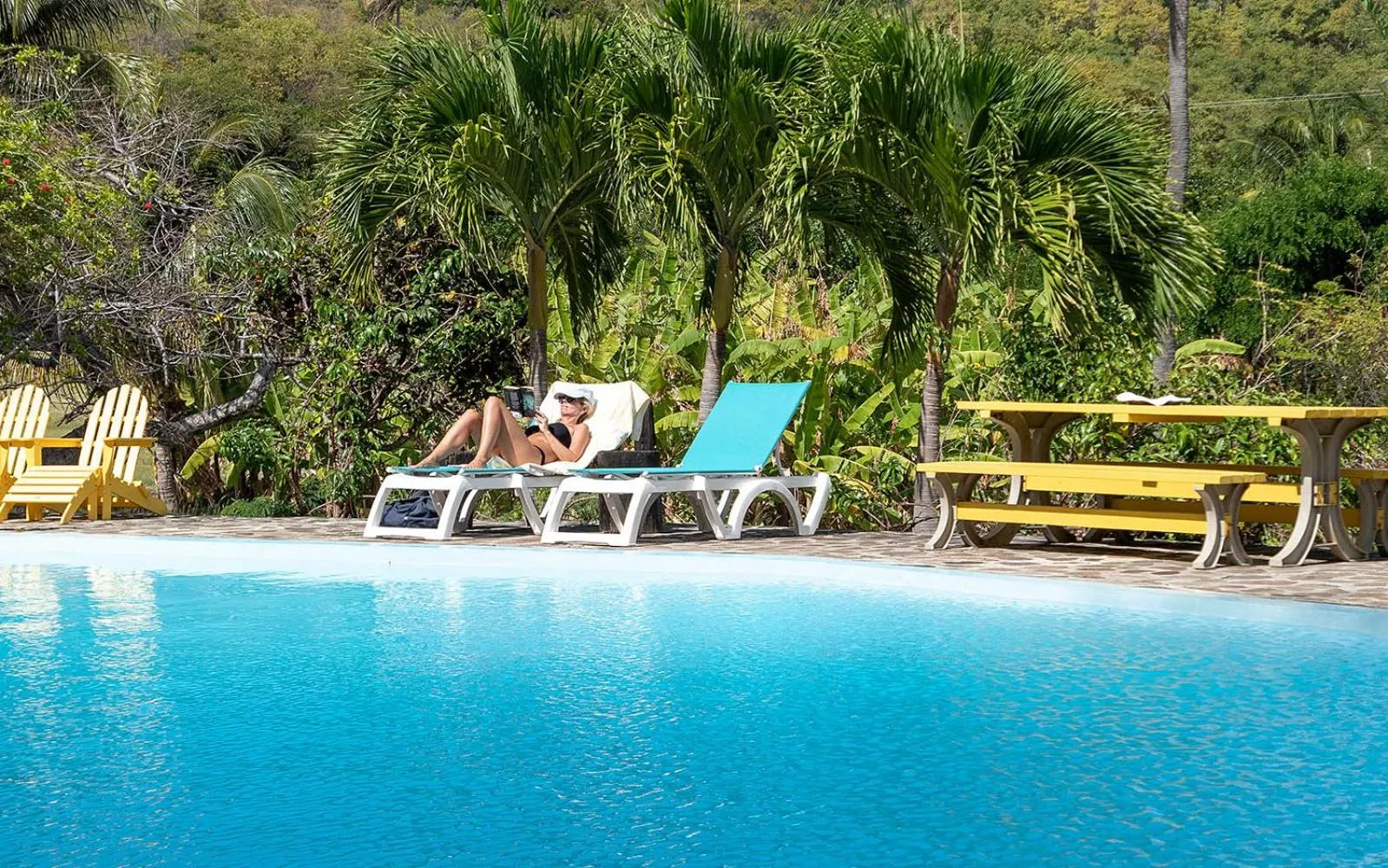 Swimming pool in Firefly Estate Bequia