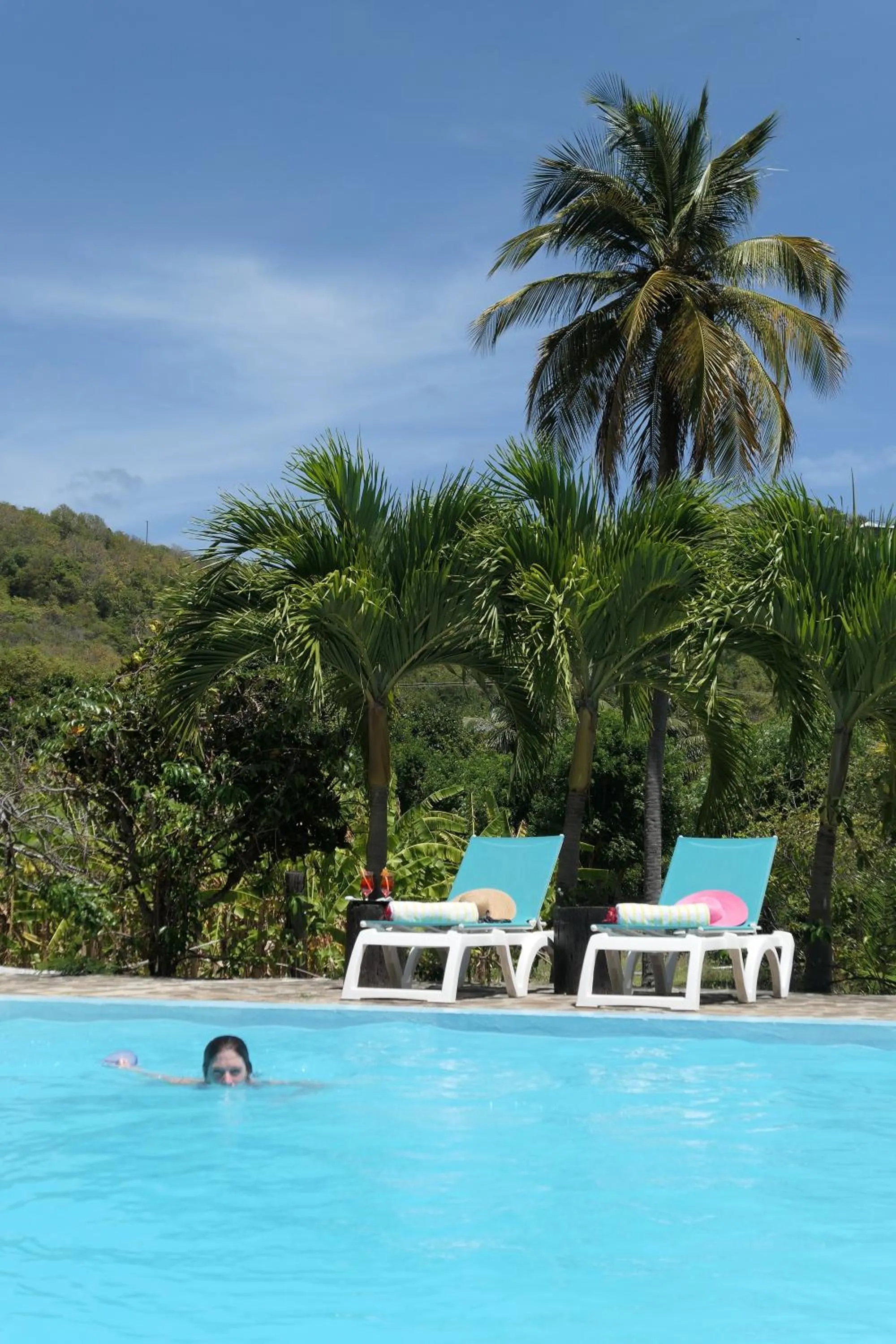 Swimming pool in Firefly Estate Bequia