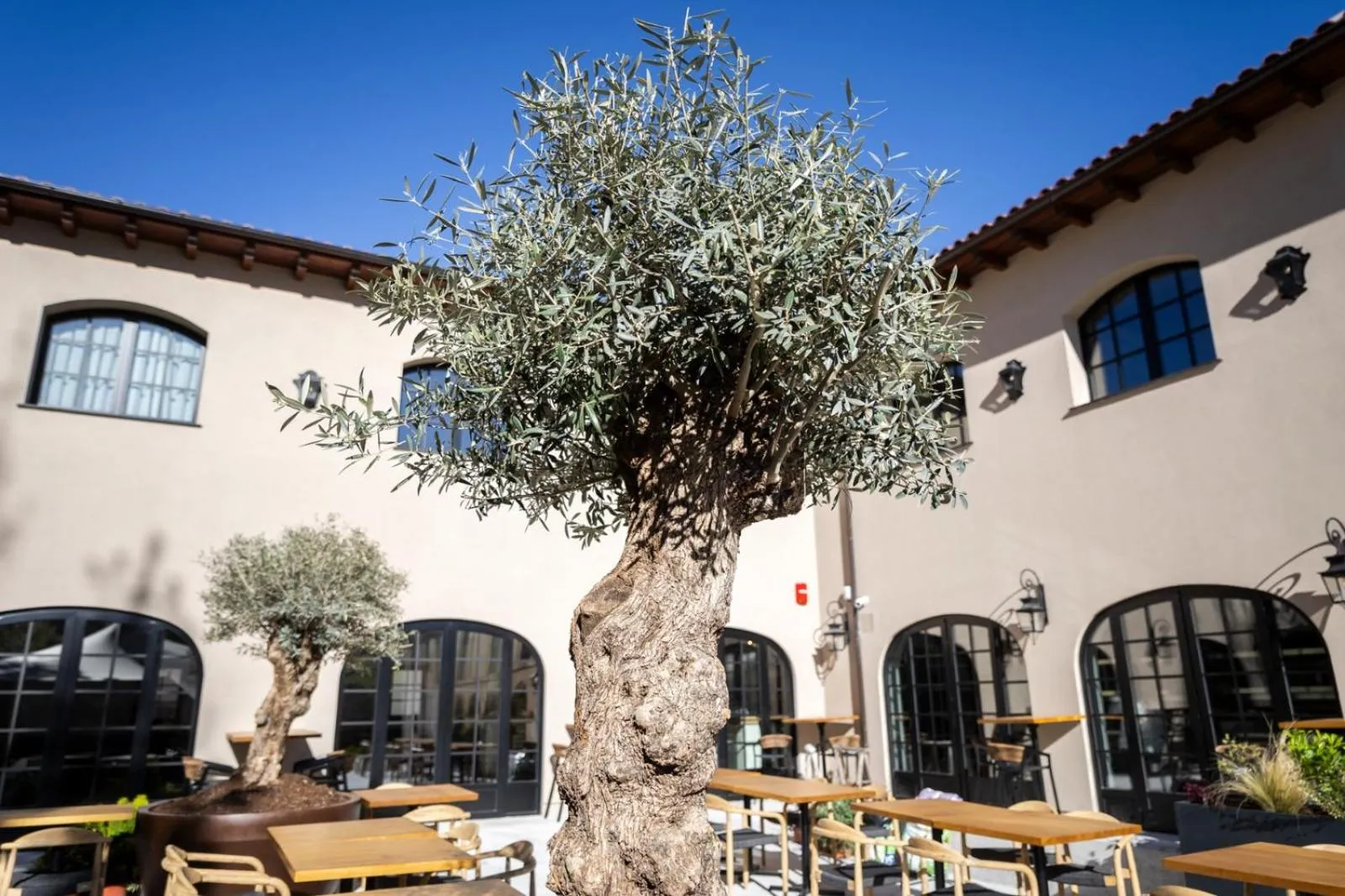 Garden in Hotel & Spa Convento San Francisco