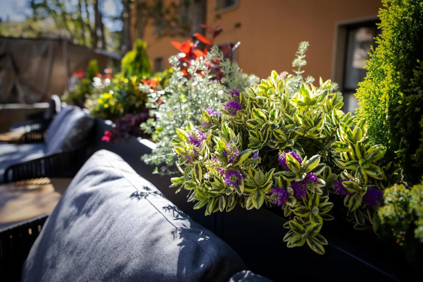 Garden in Hotel & Spa Convento San Francisco