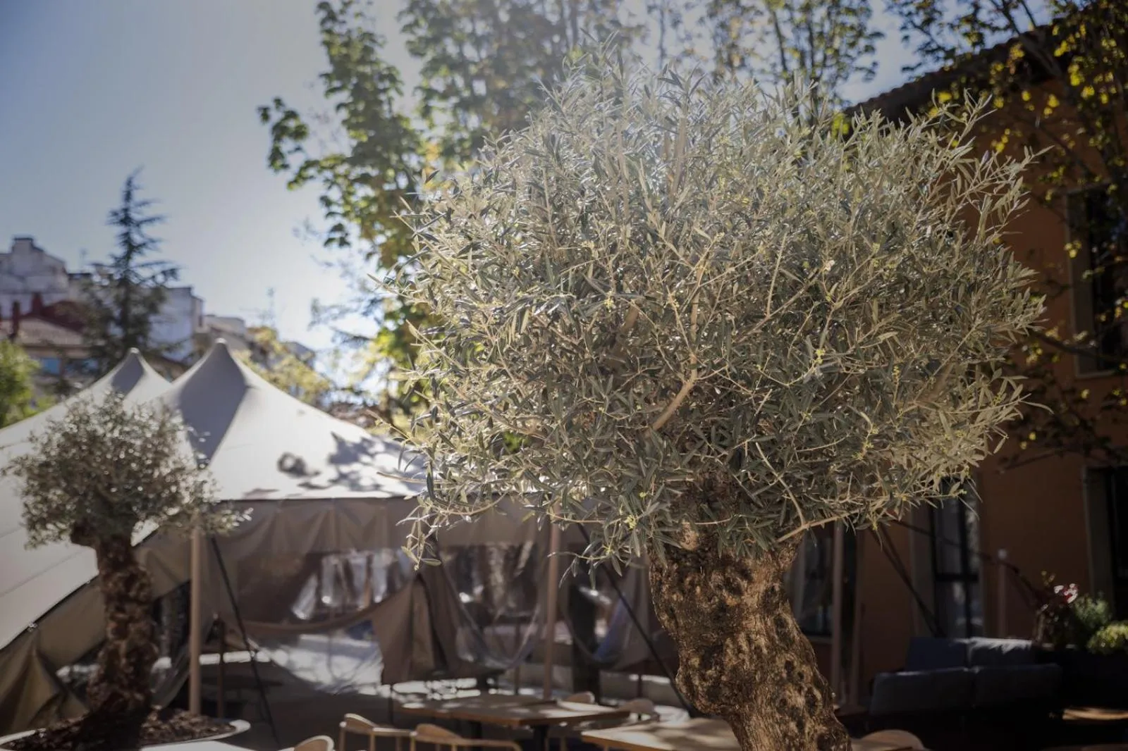 Garden in Hotel & Spa Convento San Francisco