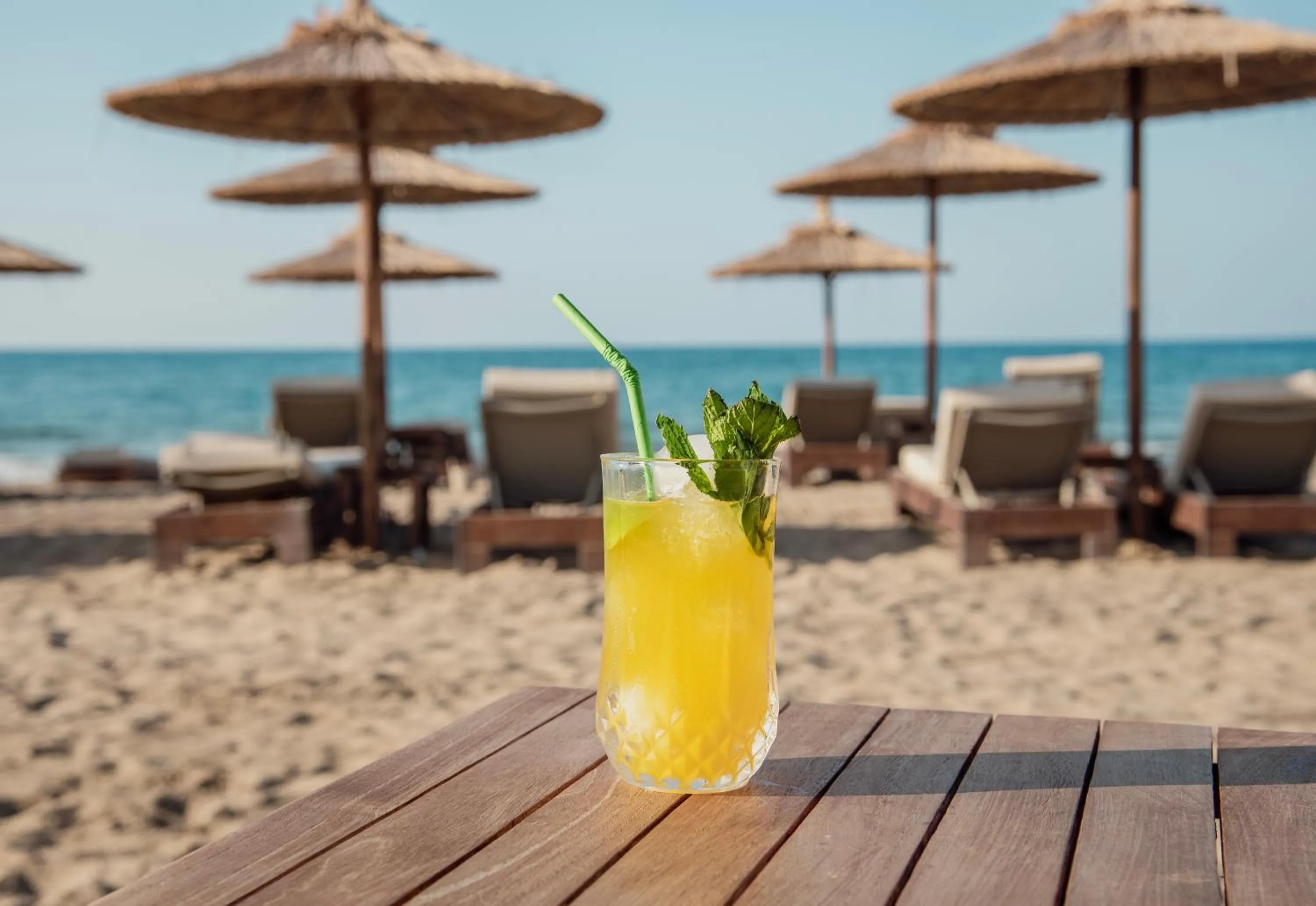 Lounge or bar in Ventale Island Breeze Resort