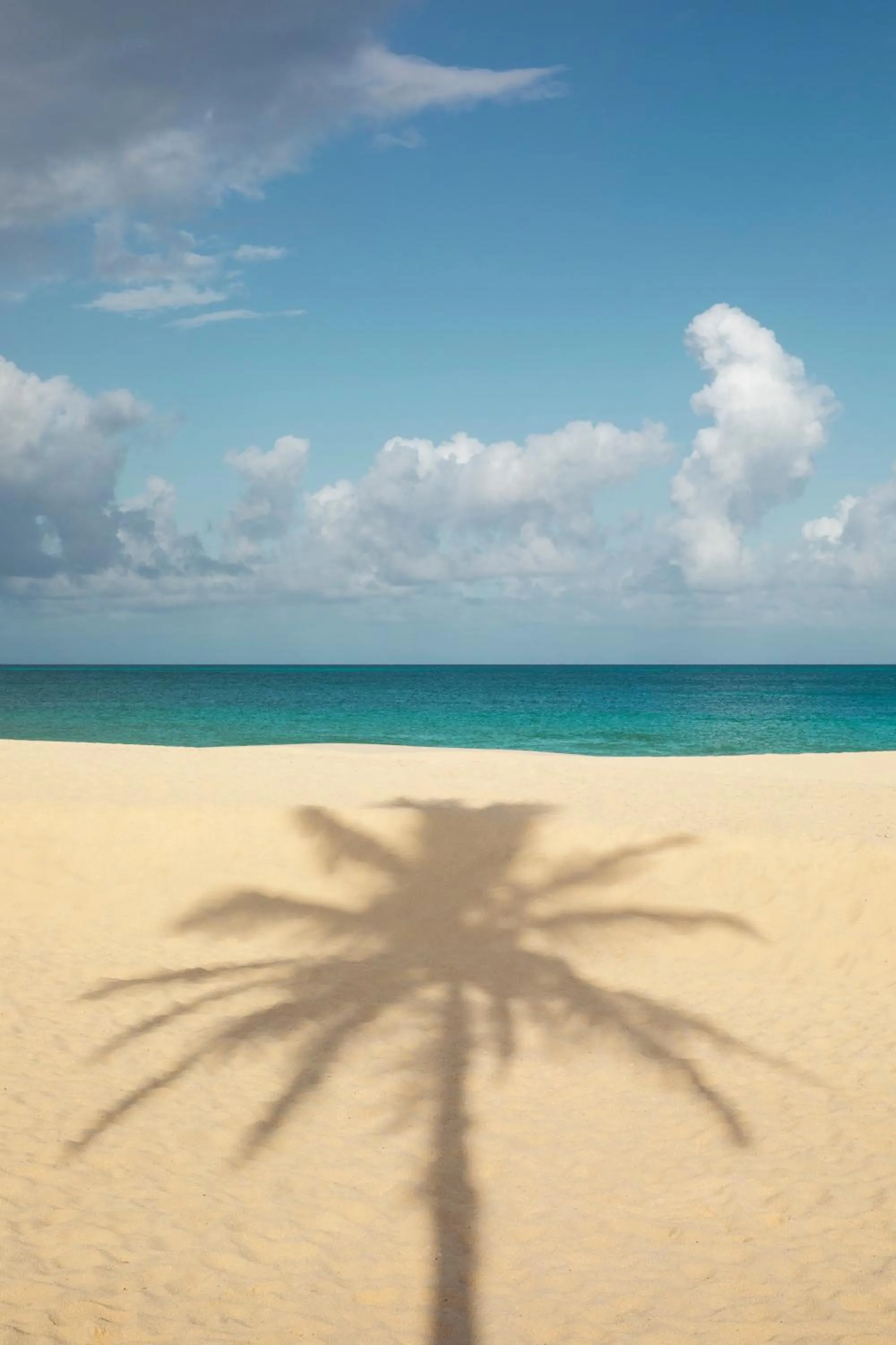 Beach in JOIA Aruba by Iberostar