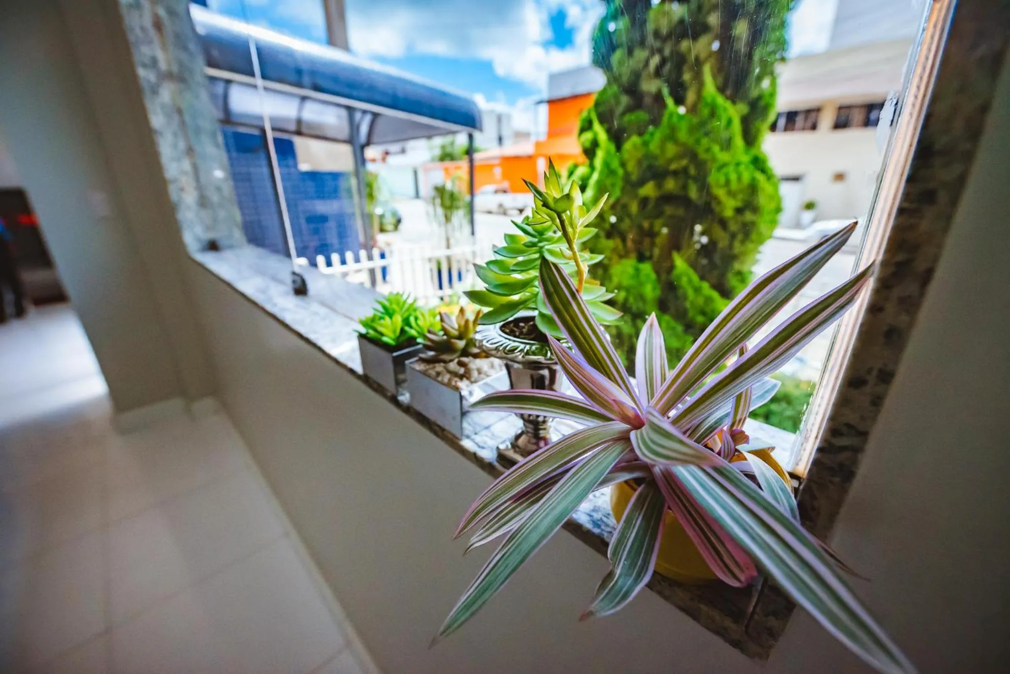 Balcony/Terrace in Cafezal Palace Hotel