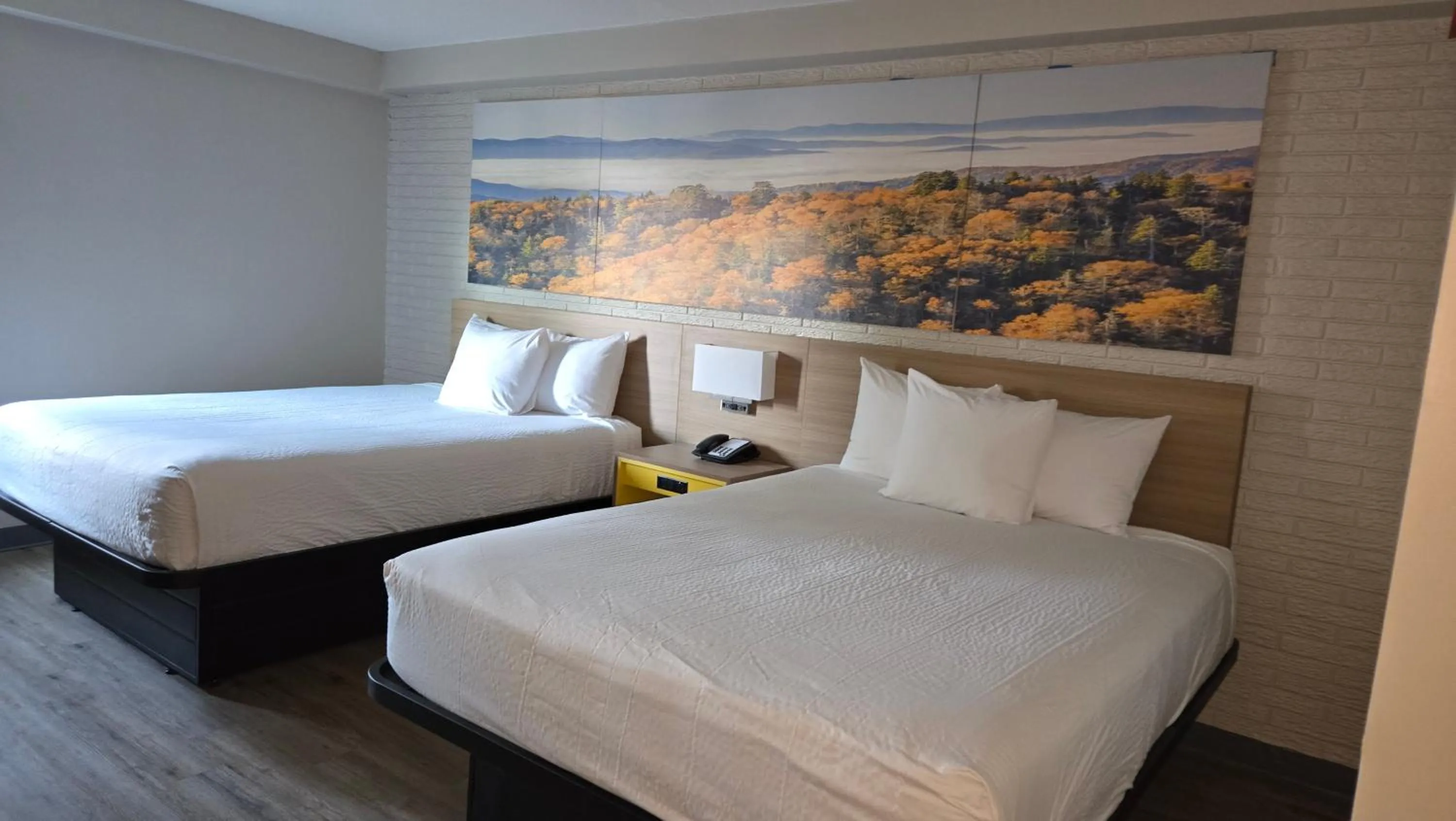 Bedroom, Bed in Days Inn by Wyndham Manassas Battlefield