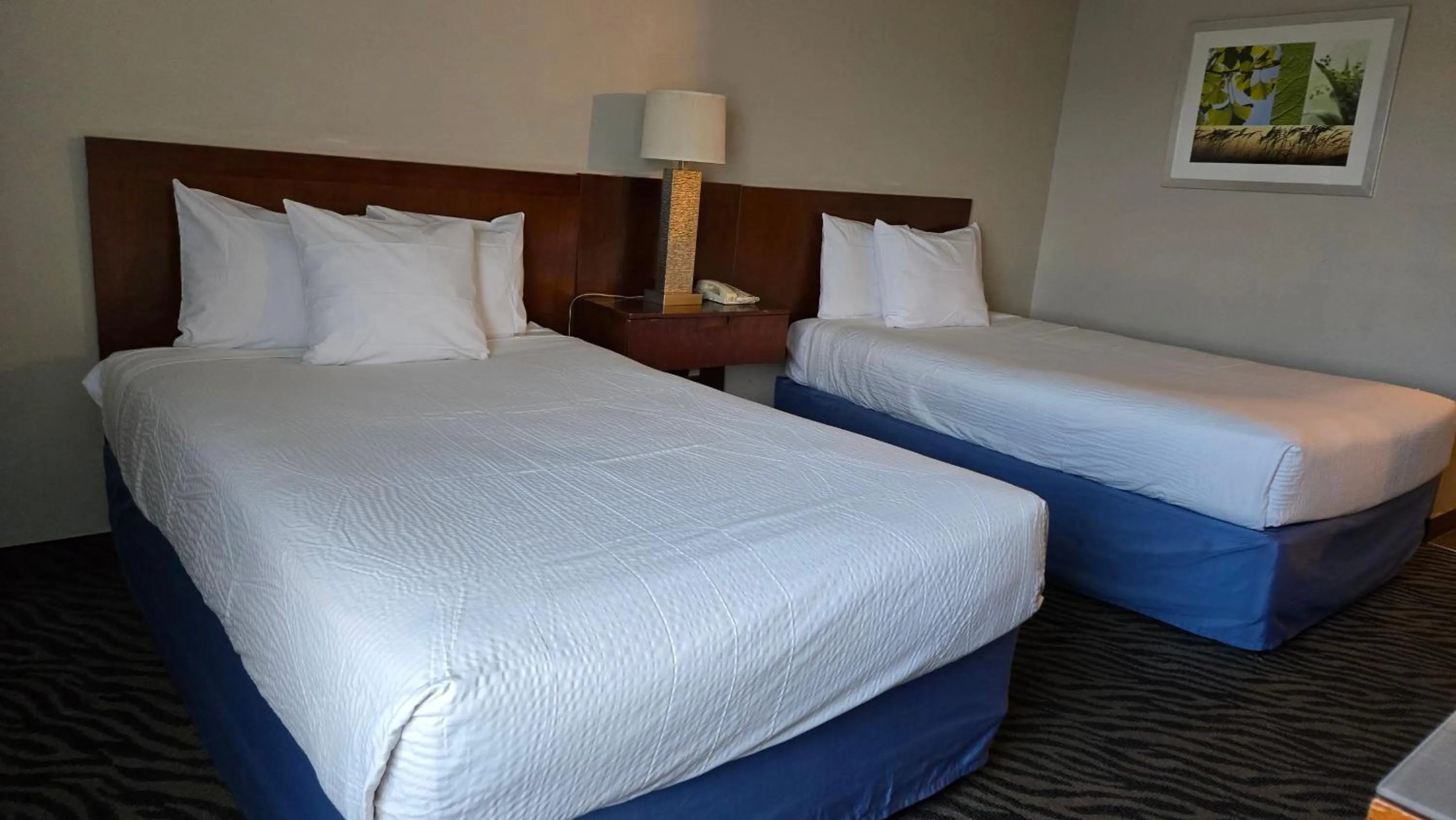 Bed in Days Inn by Wyndham Manassas Battlefield