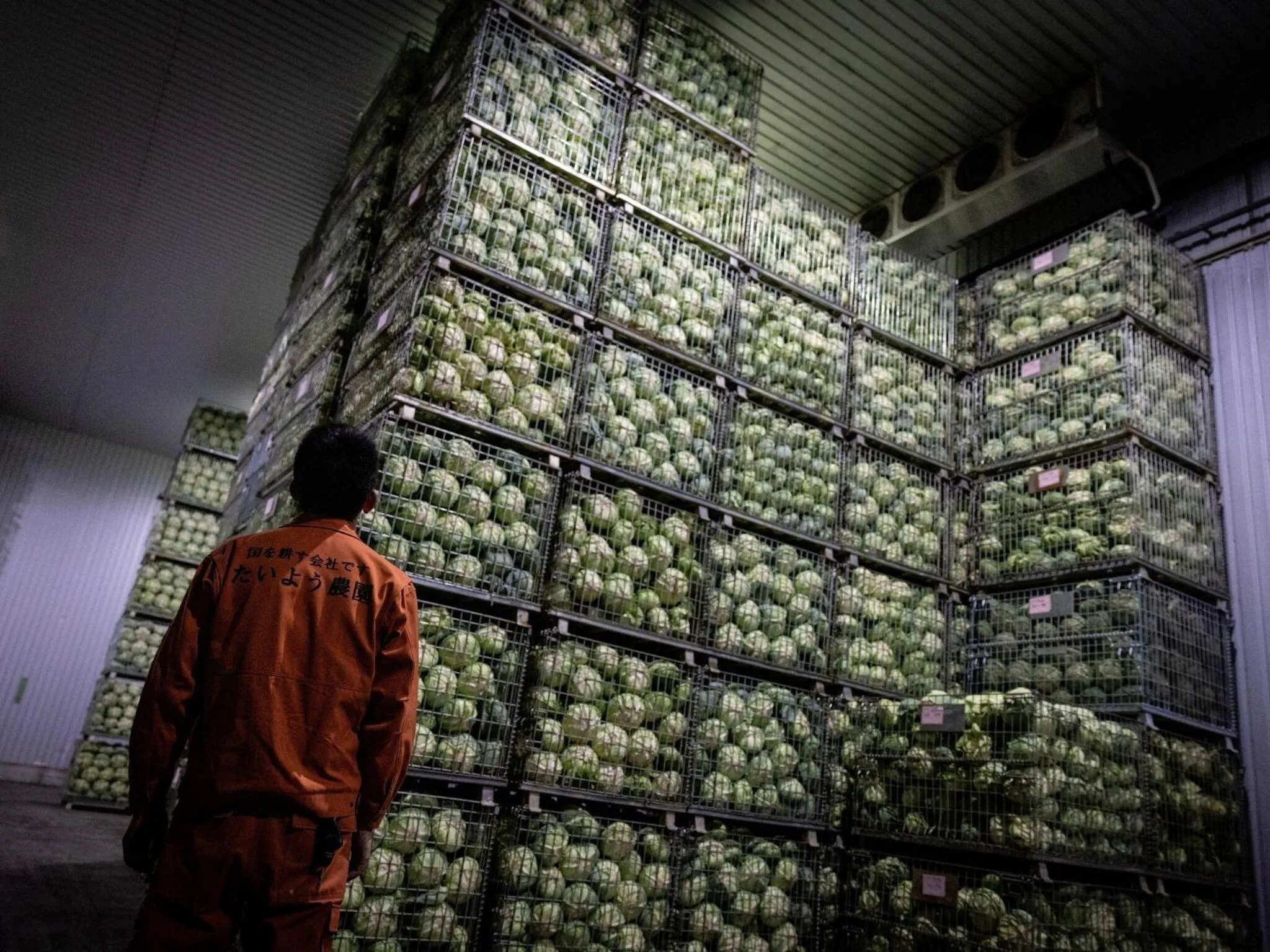 Breakfast in Hotel Taiyo Noen Tokushima Kenchomae