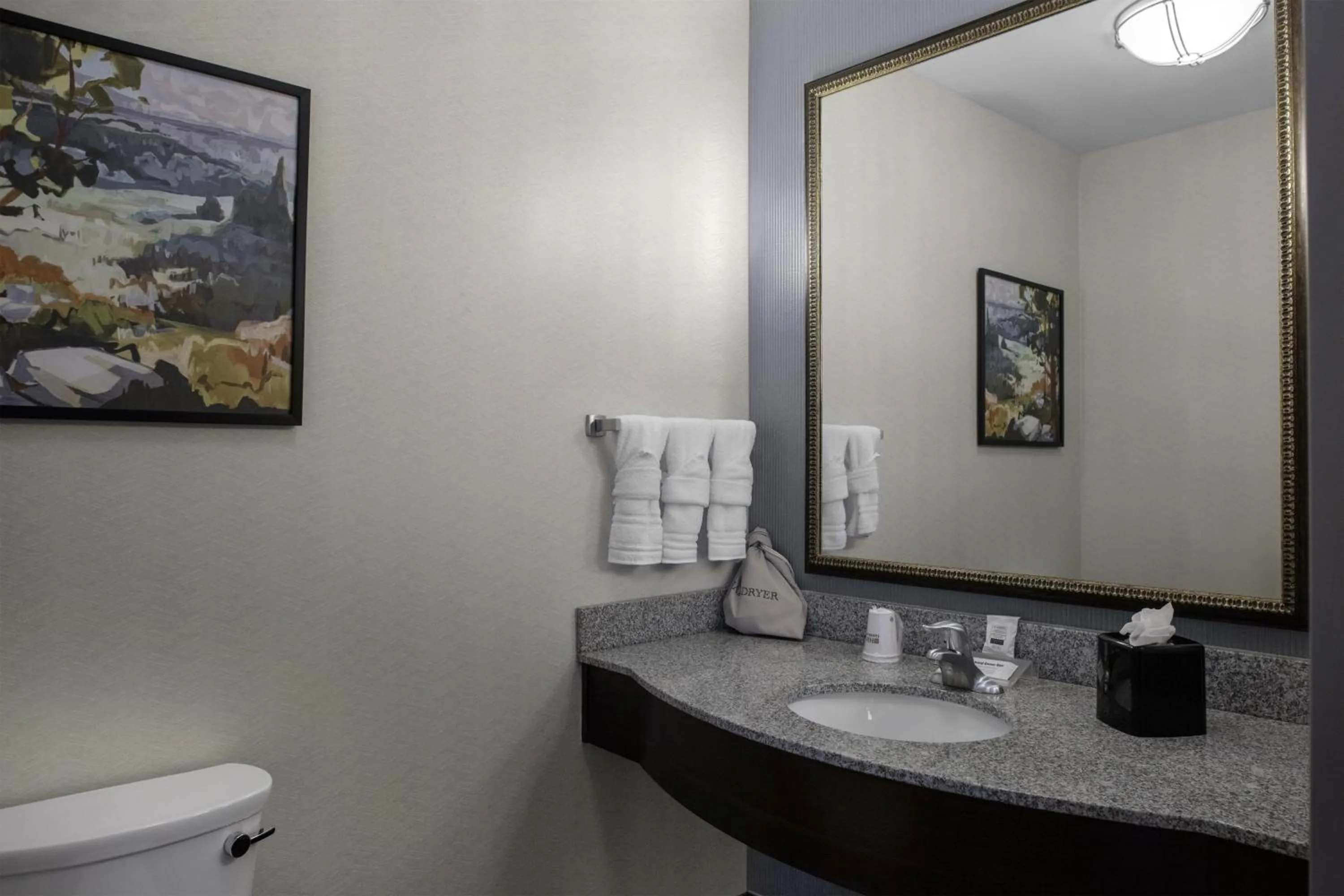 Bathroom in Hilton Garden Inn Denison/Sherman/At Texoma Event Center