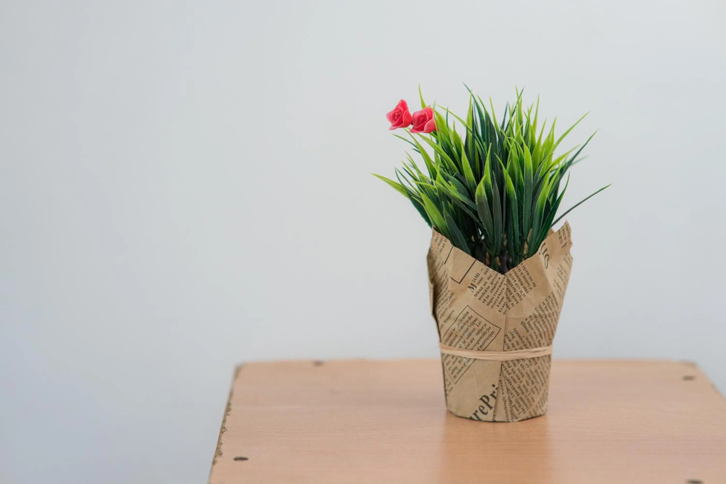 Decorative detail in Trival Broadway Hut Homestay Sri Indah, Sandakan