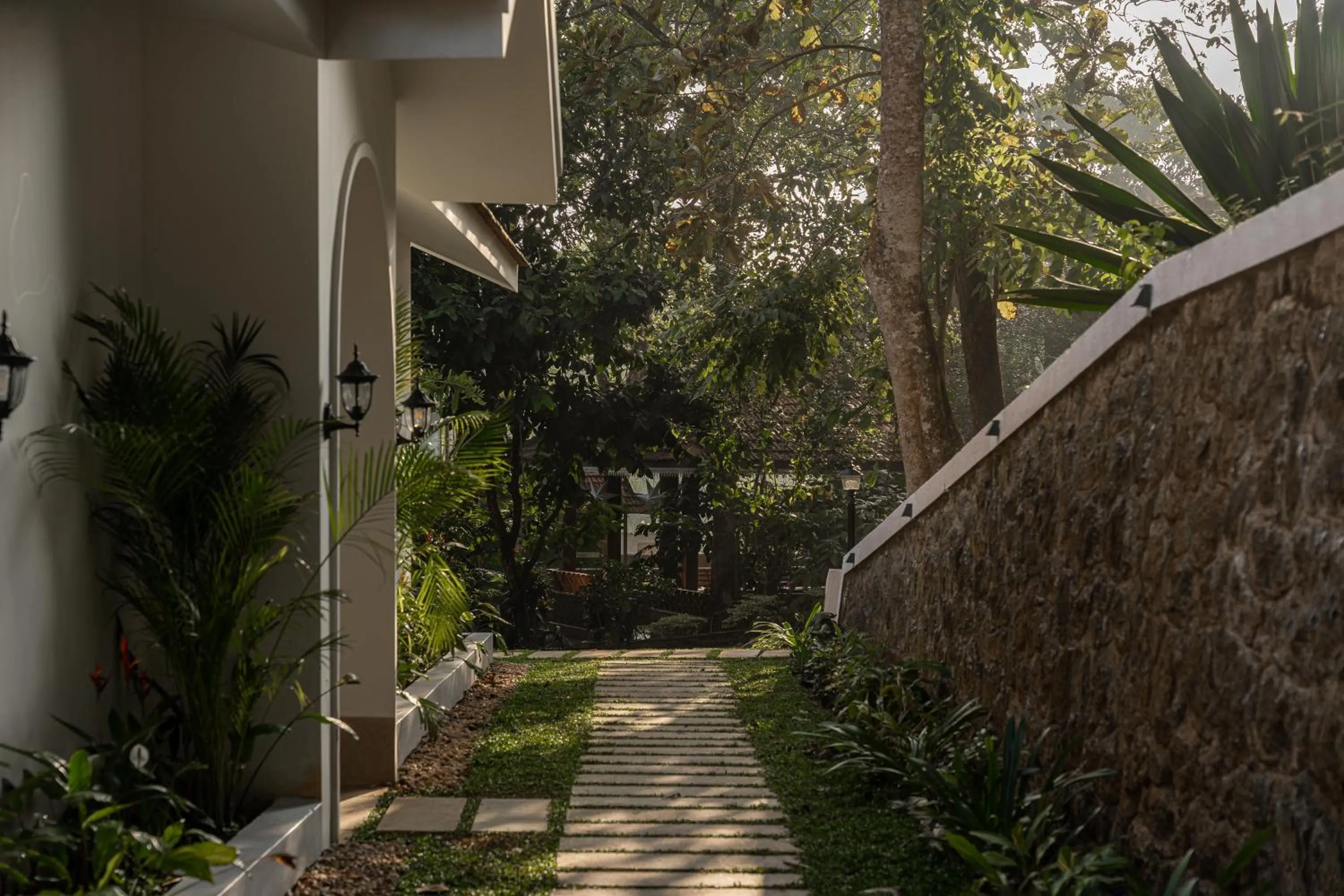 Garden in Coffee Routes