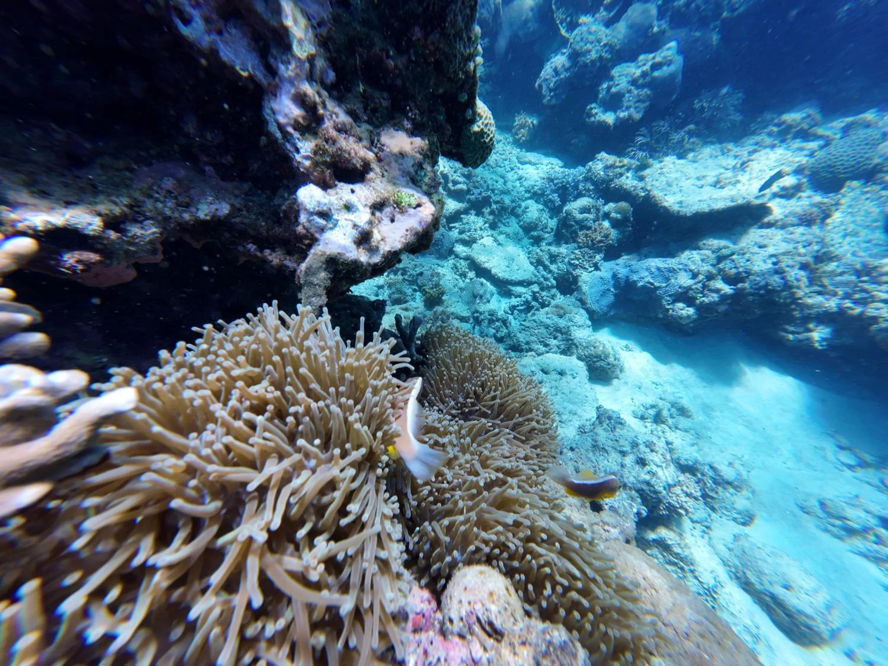 Activities in Boraha Village Ecolodge