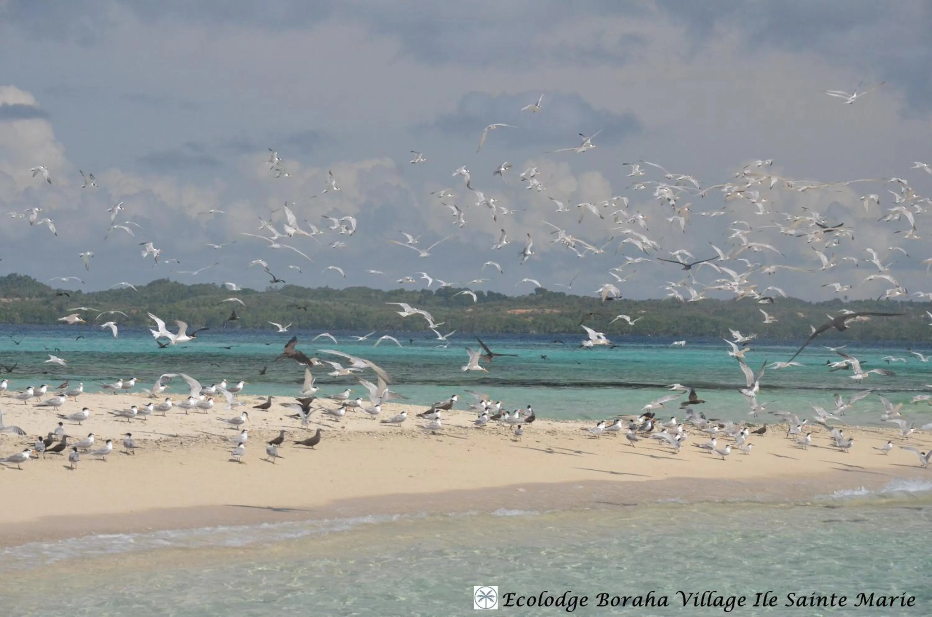 Nearby landmark in Boraha Village Ecolodge