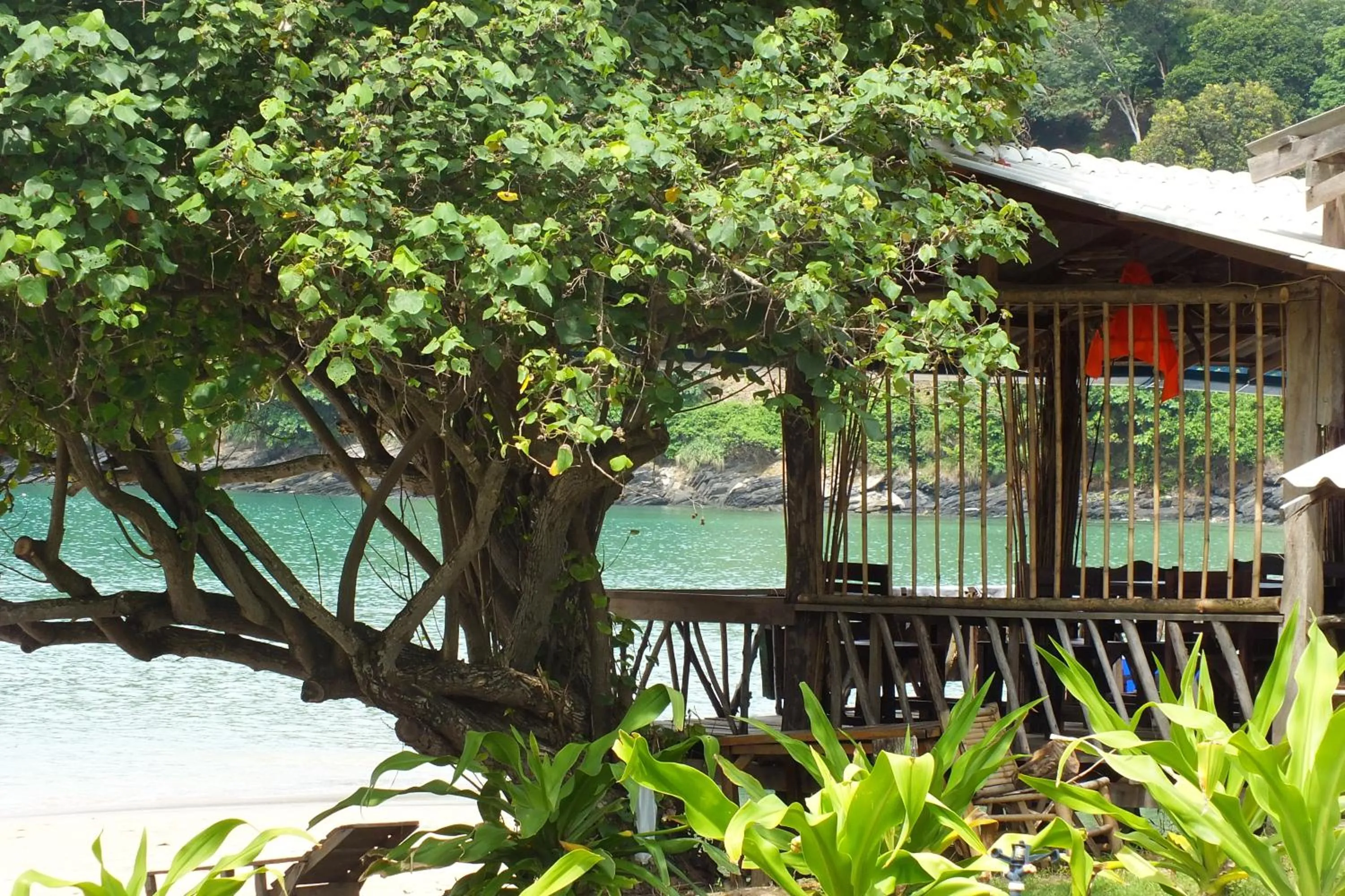 Restaurant/places to eat in Klong Jark Bungalows