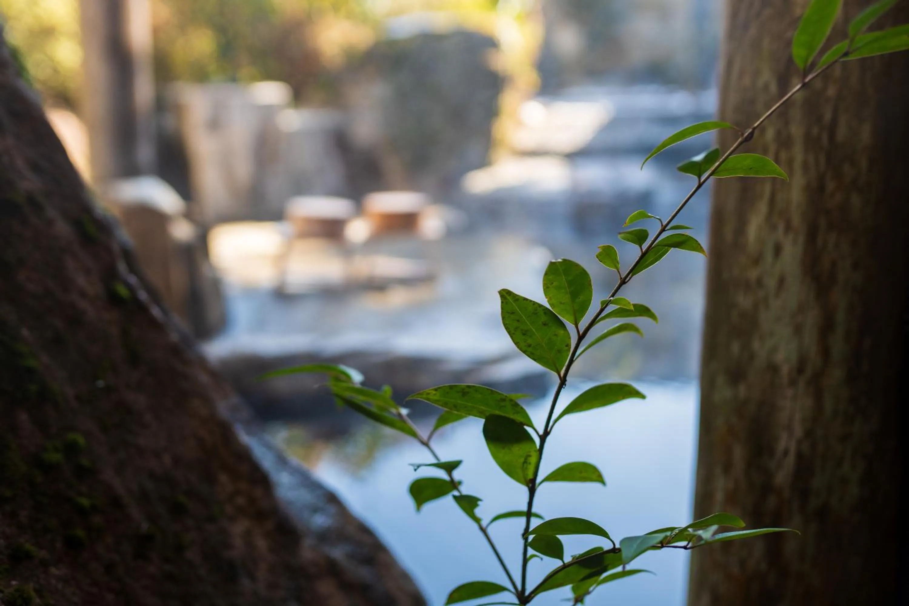 Open Air Bath in Pension Yufuin