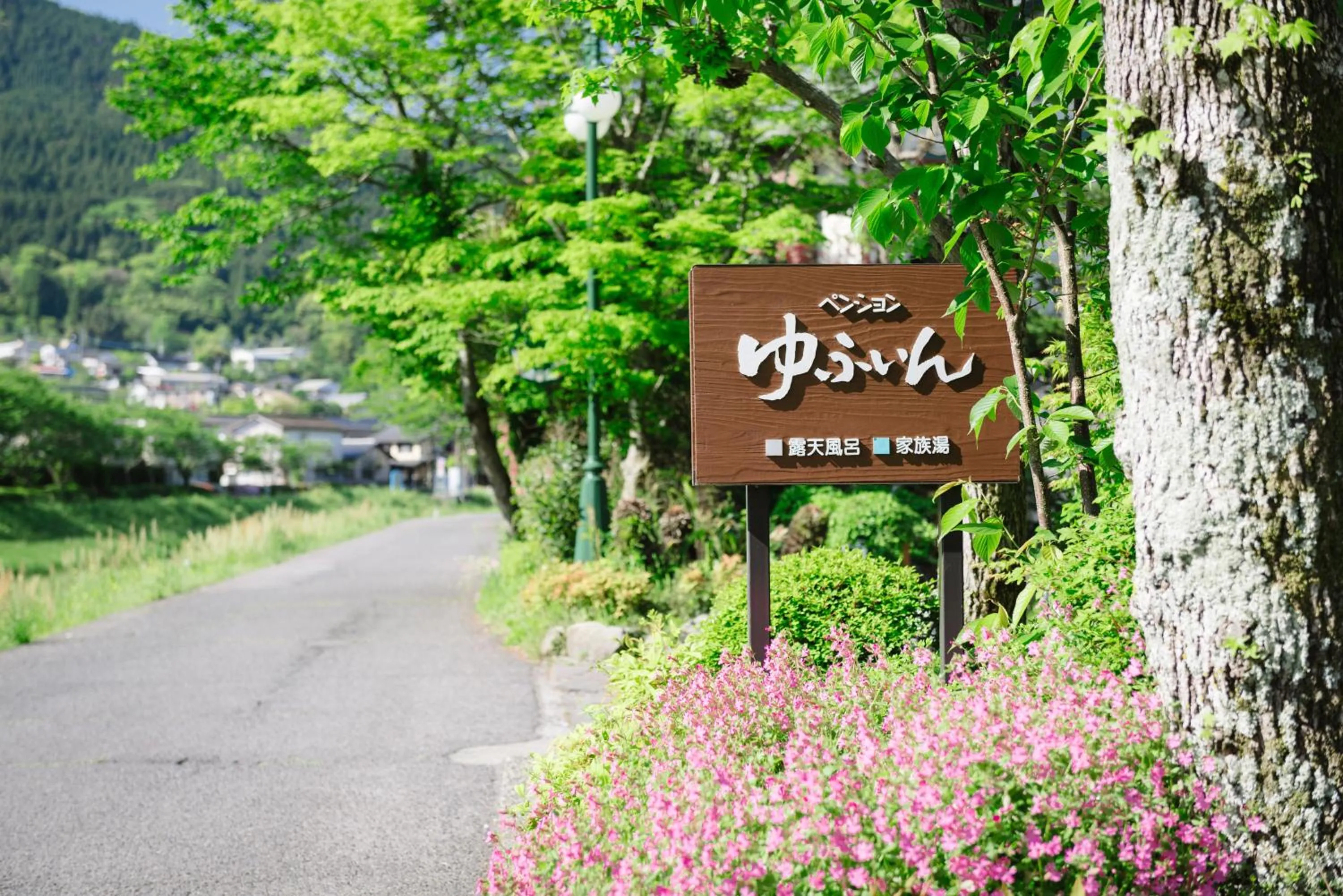 Spring in Pension Yufuin