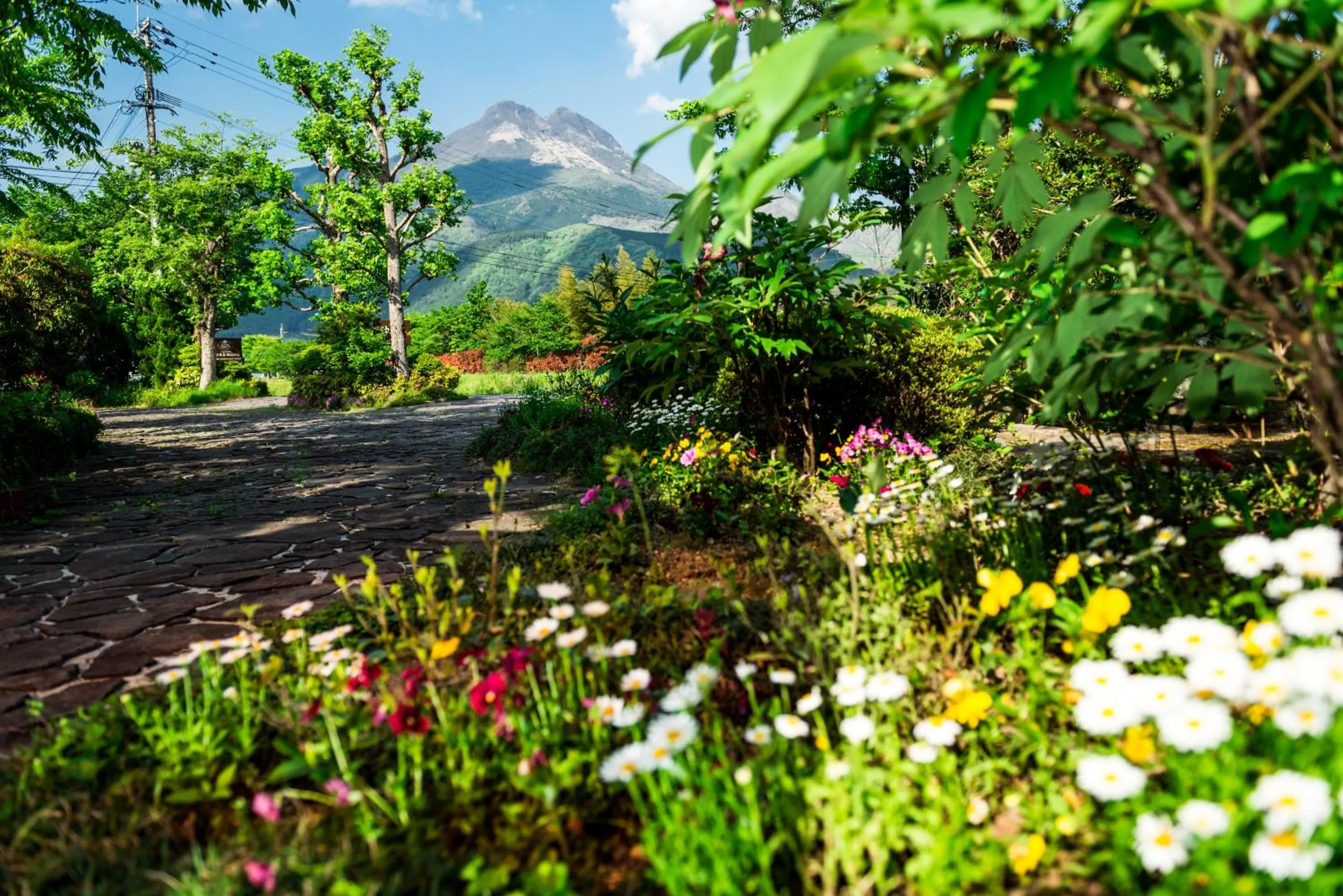 Natural landscape in Pension Yufuin