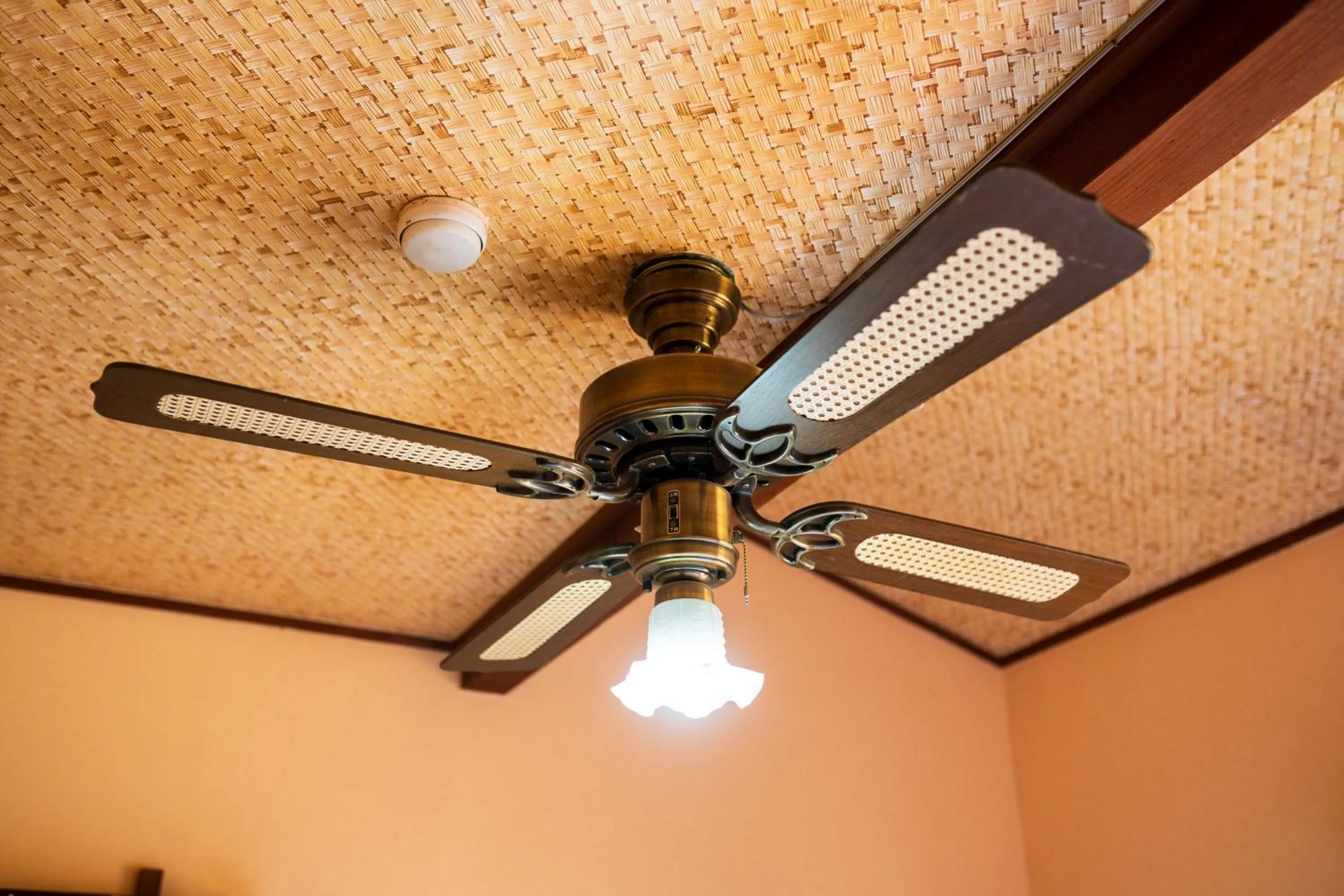 Photo of the whole room in Pension Yufuin