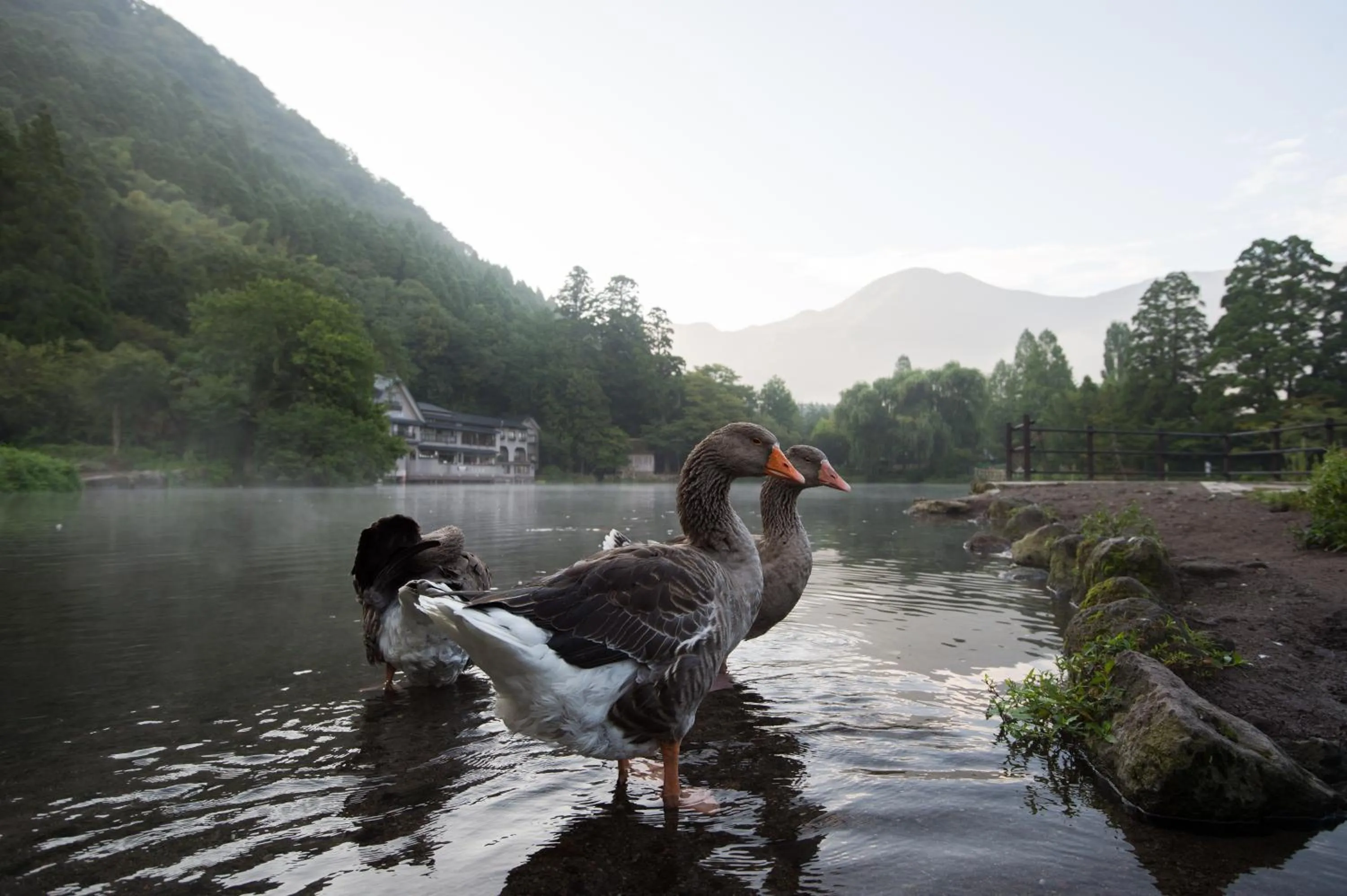 Natural landscape in Pension Yufuin